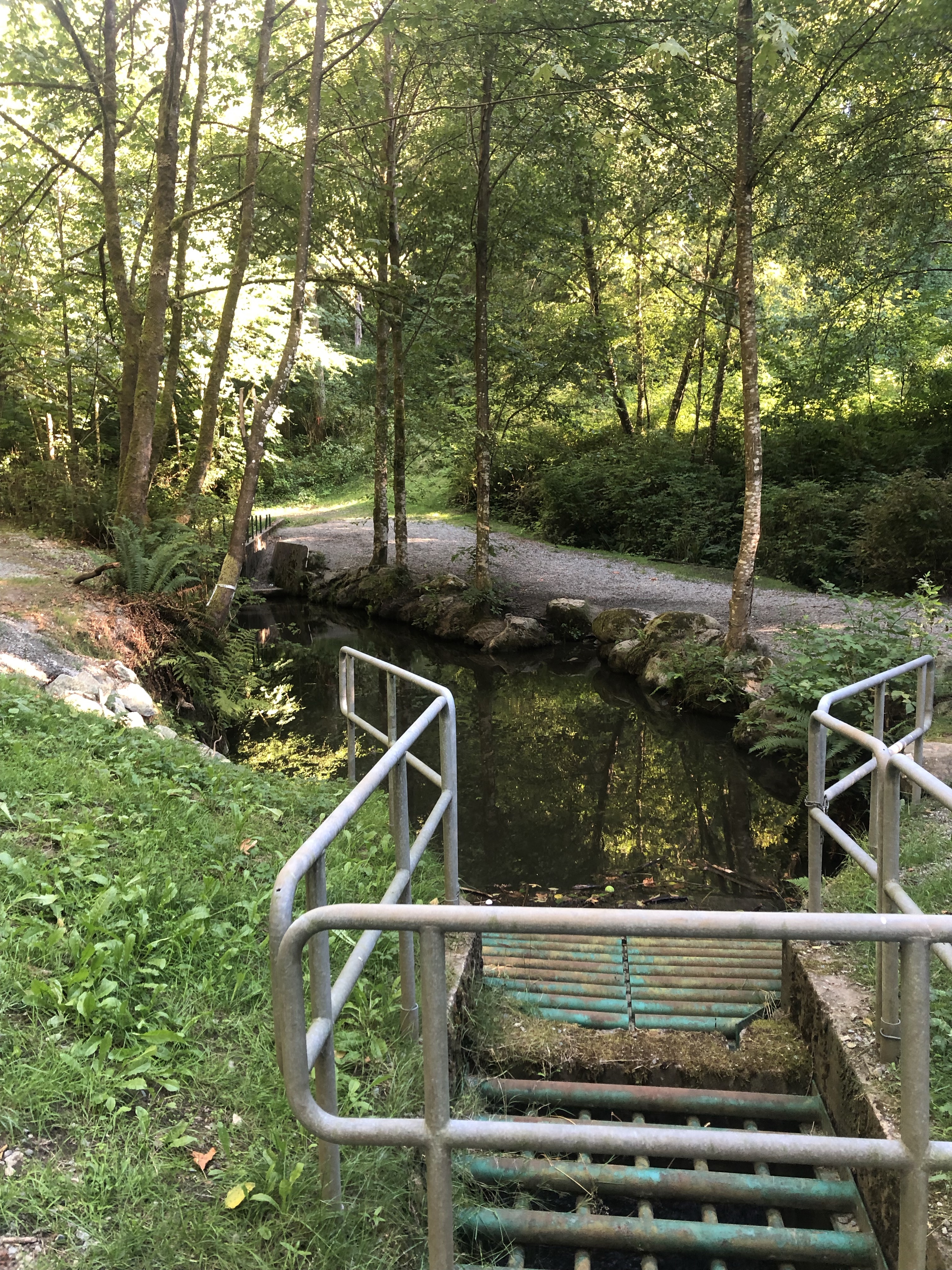 Chines Park Off-Leash Dog Area