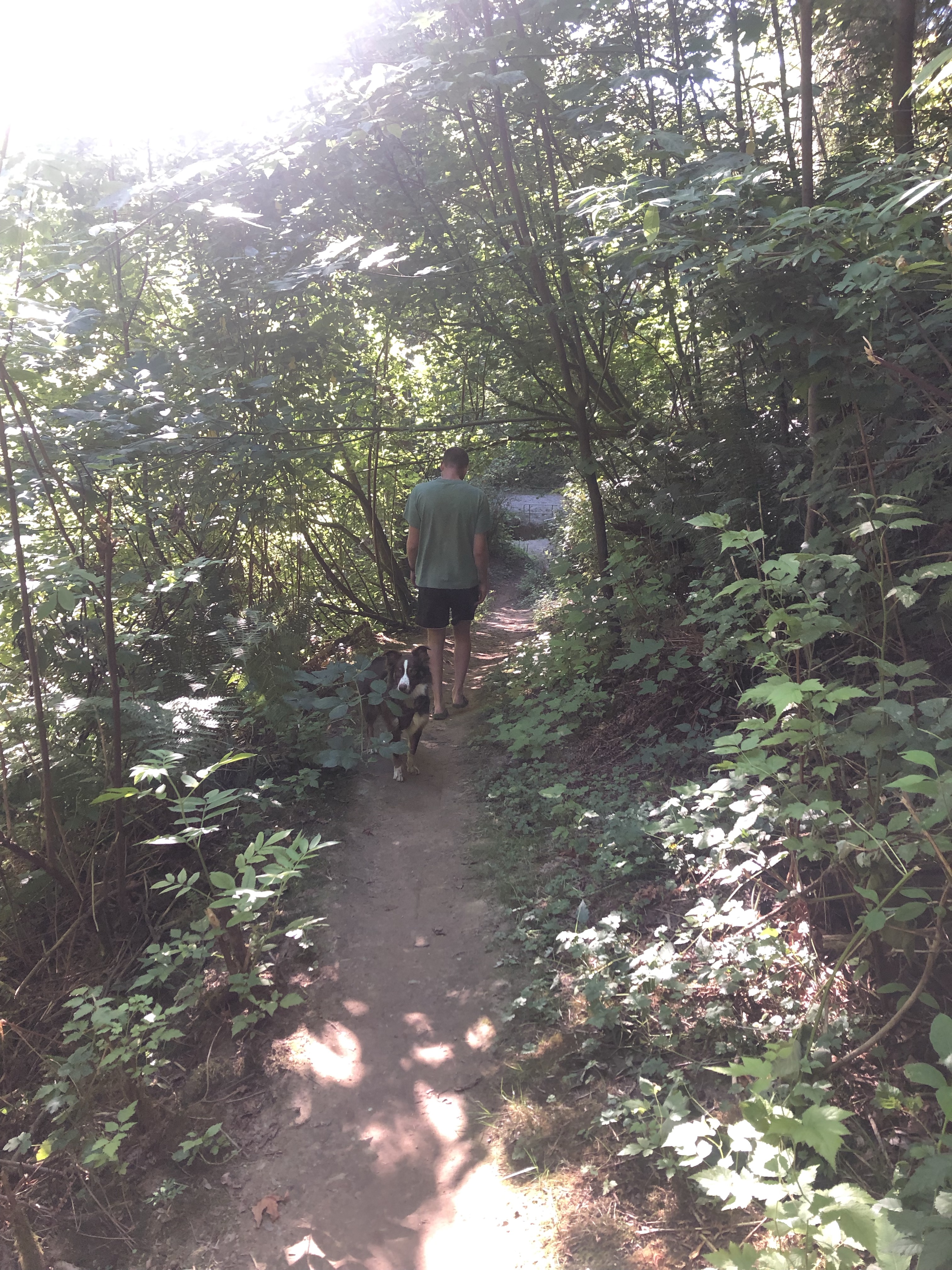 Chines Park Off-Leash Dog Area