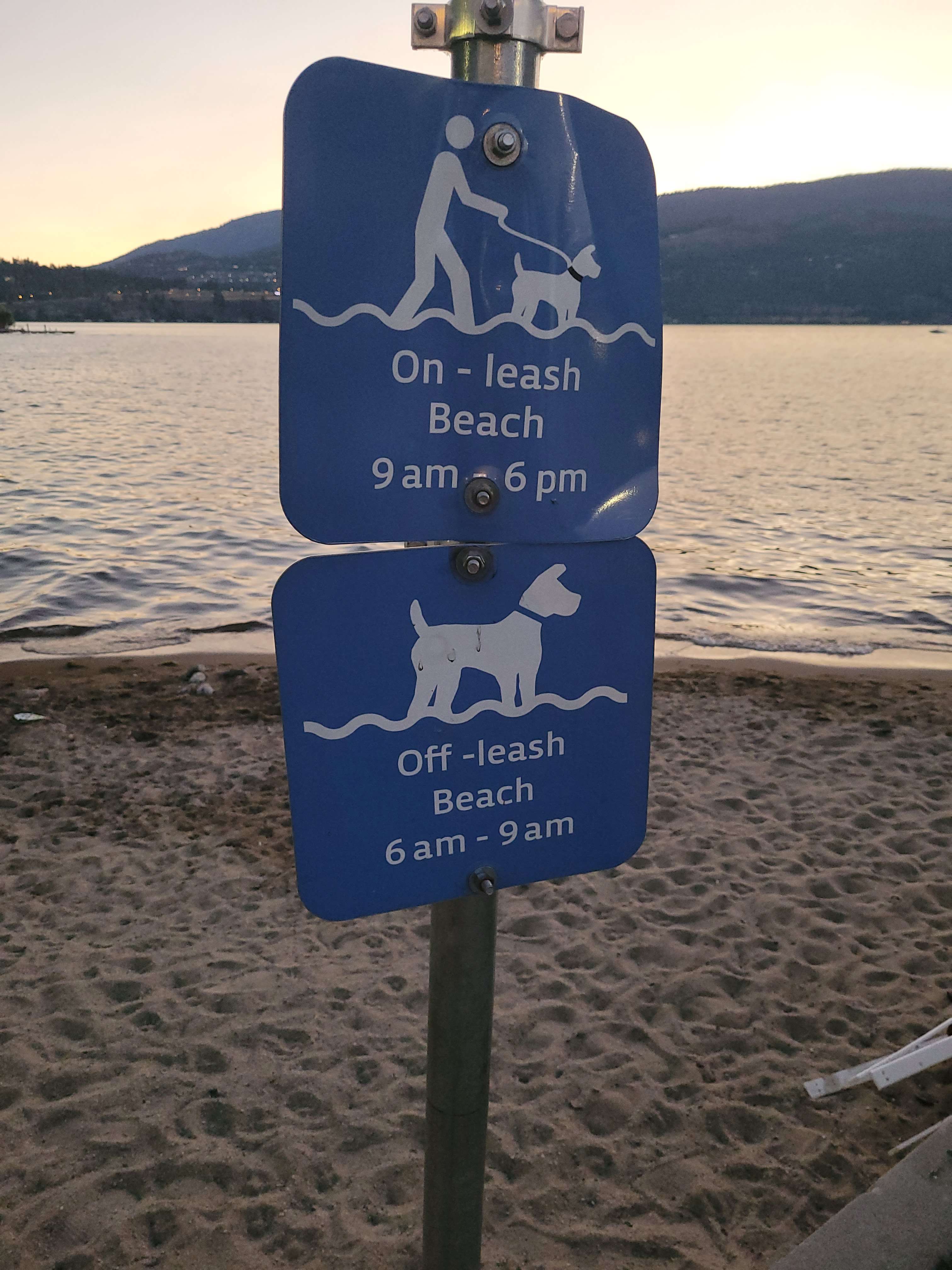 Downtown Sails Dog Beach