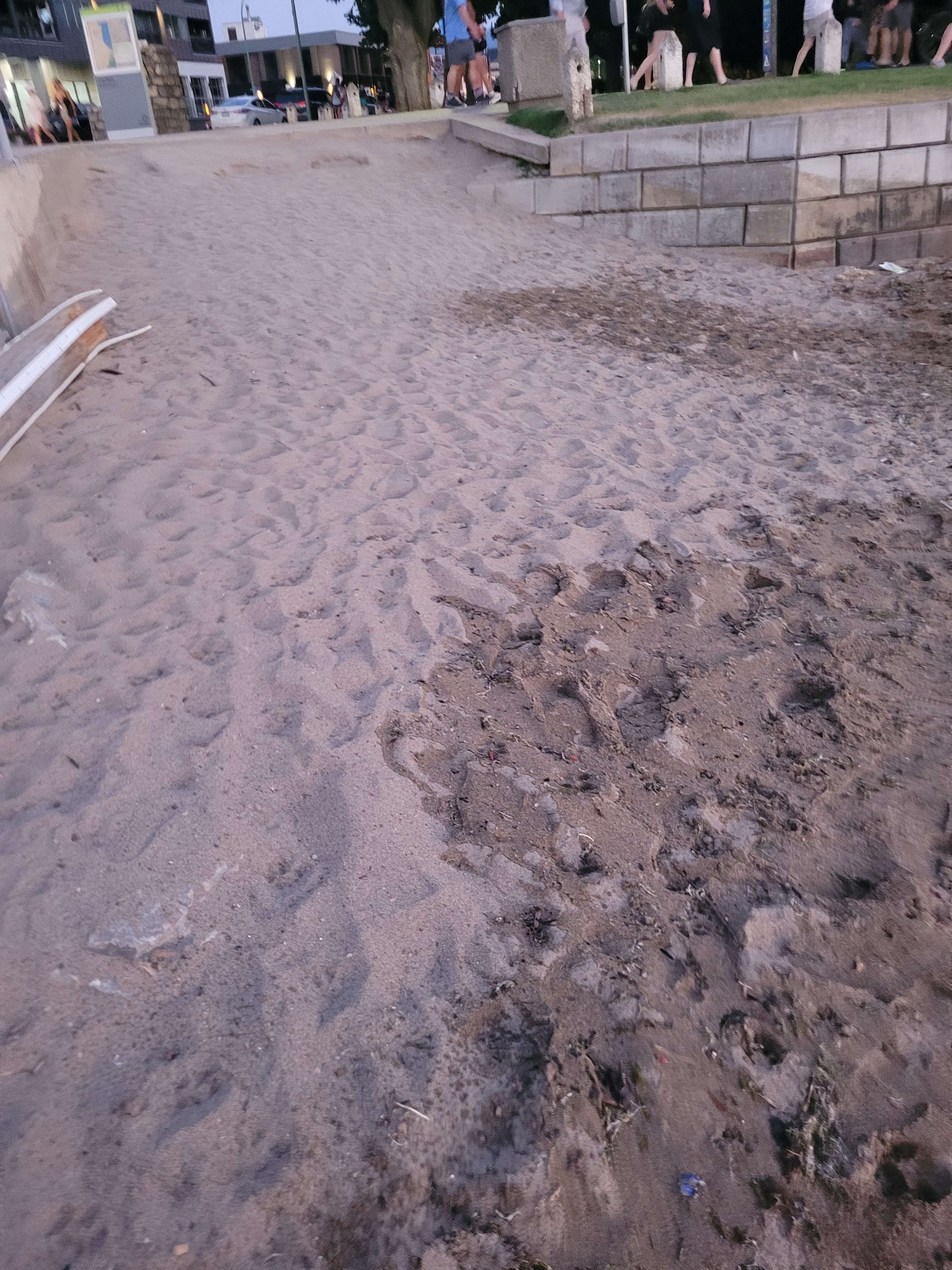 Downtown Sails Dog Beach