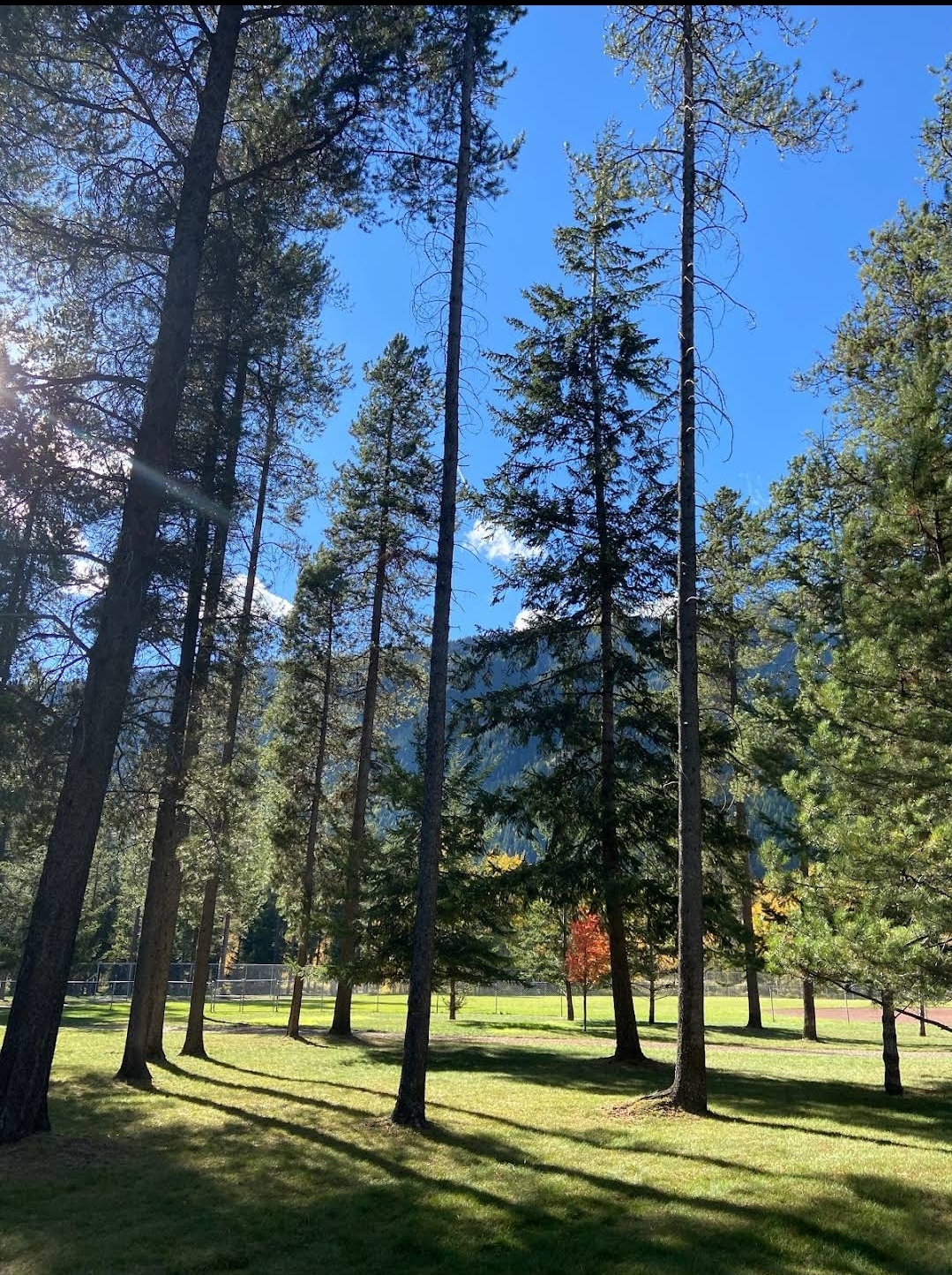 Lions Park, Sparwood