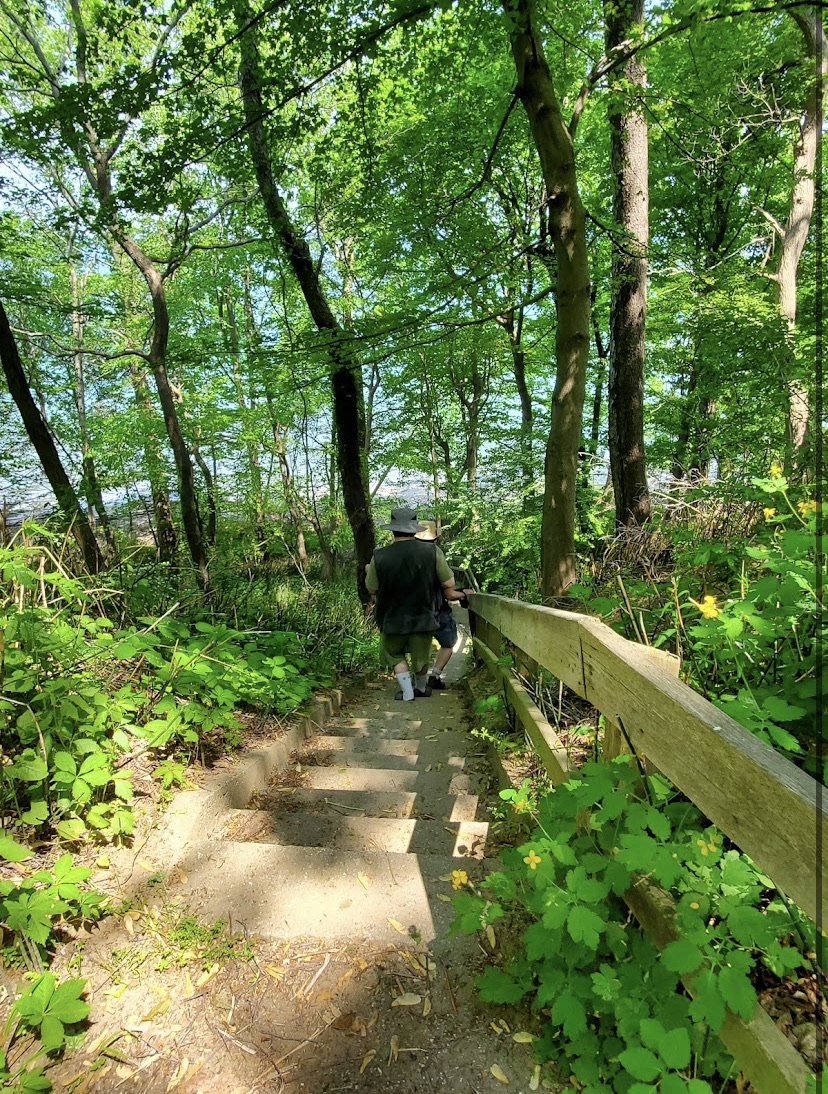 Lakeshore Reservation