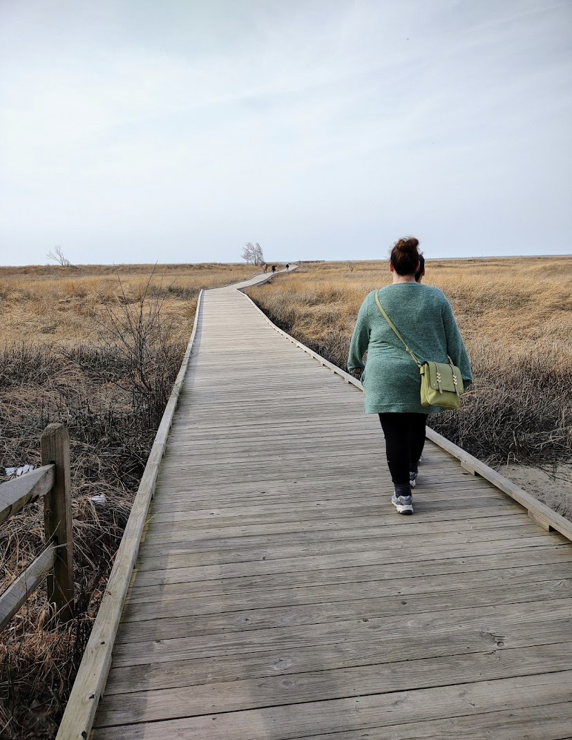 Headlands Beach State Park