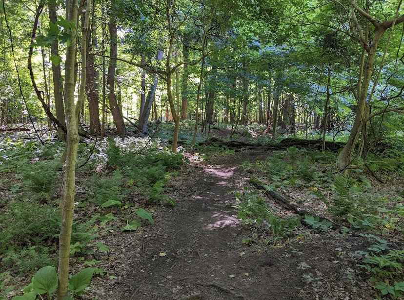 Erie Bluffs State Park