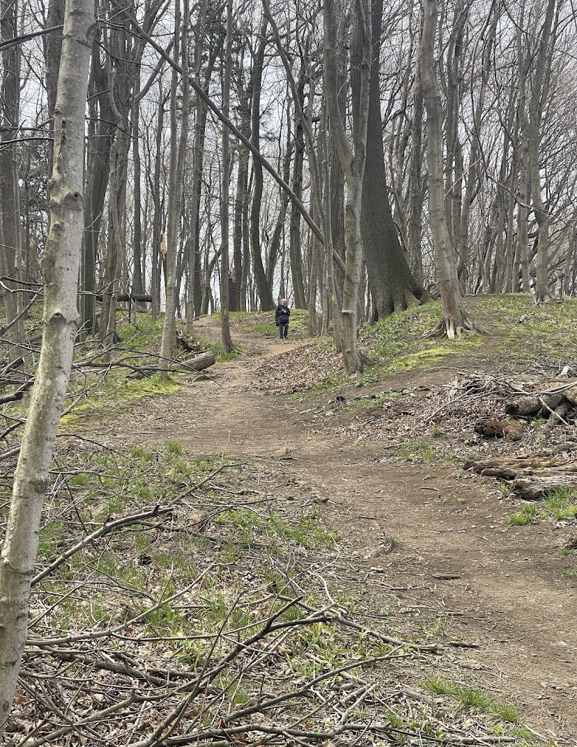 Erie Bluffs State Park