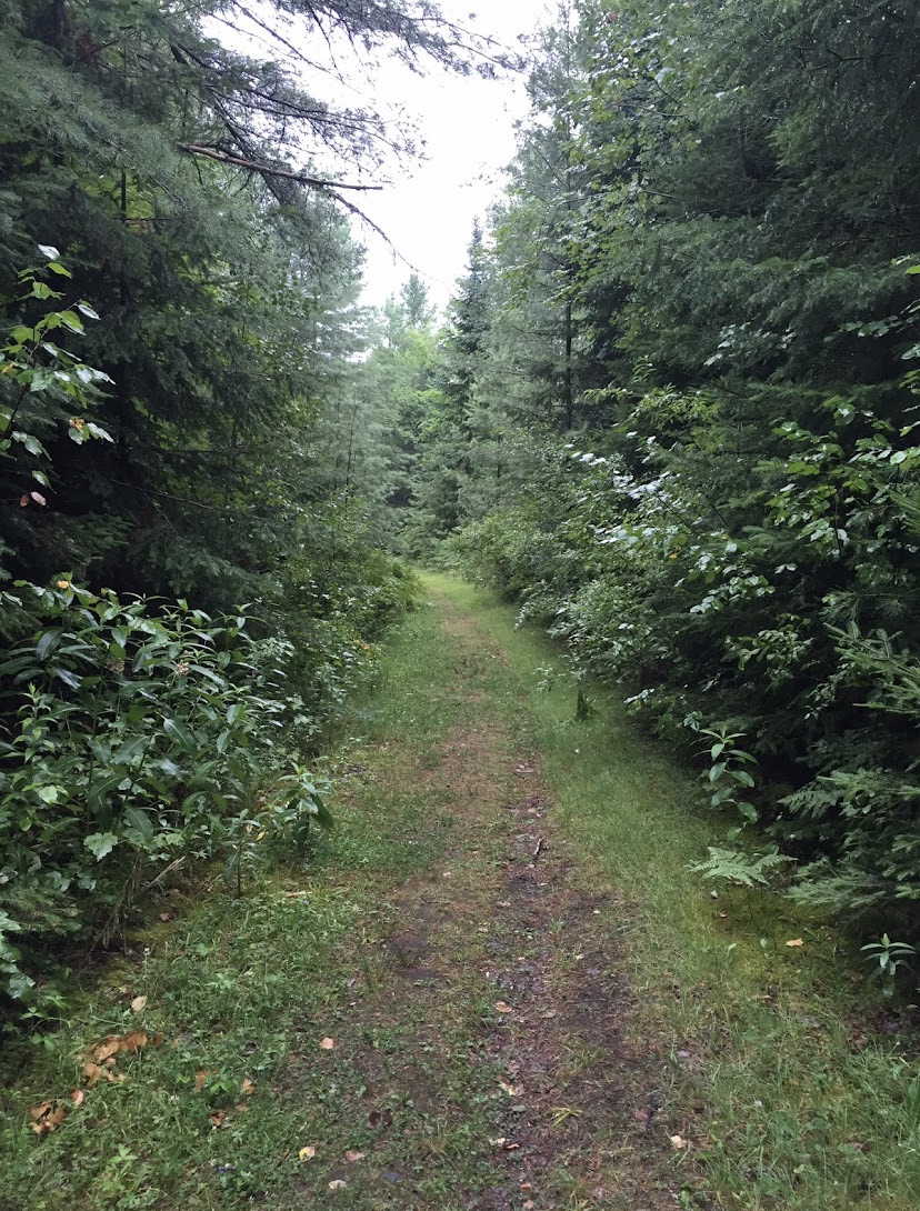 Scenic Parking Area Off Newcomb Rd.