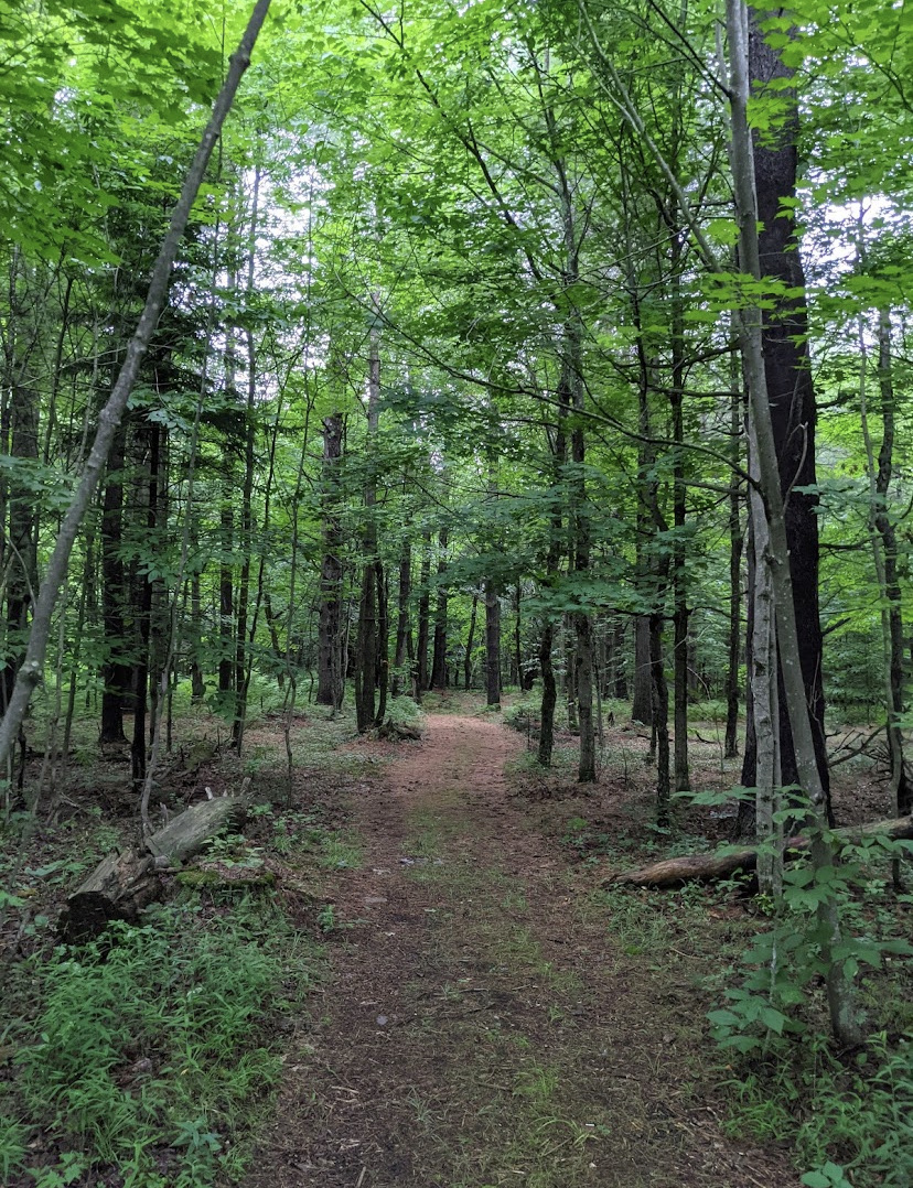 Scenic Parking Area Off Newcomb Rd.