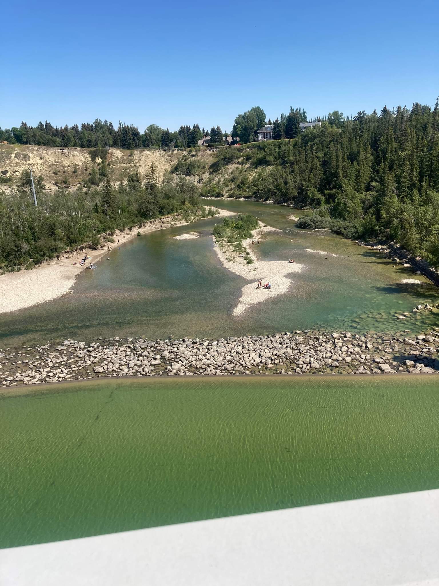 Glenmore Dam Off Leash Dog Park