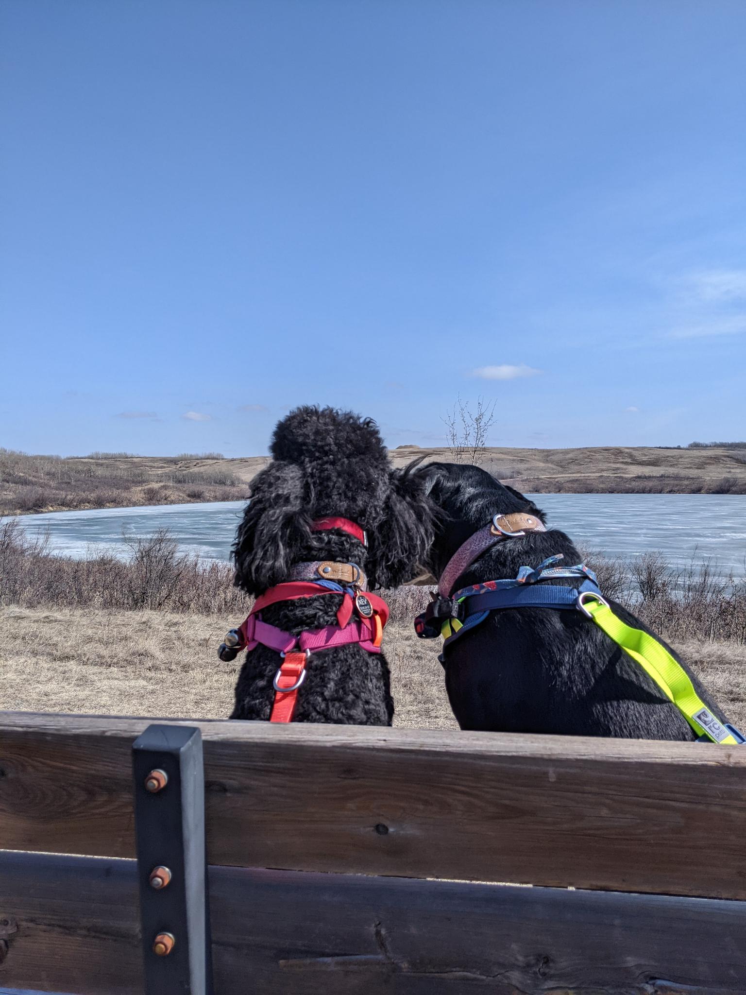 Dillberry Lake Provincial Park