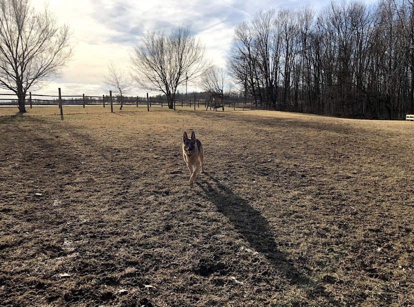 Wolf Run Regional Park