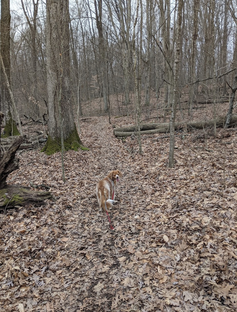 Wolf Run Regional Park