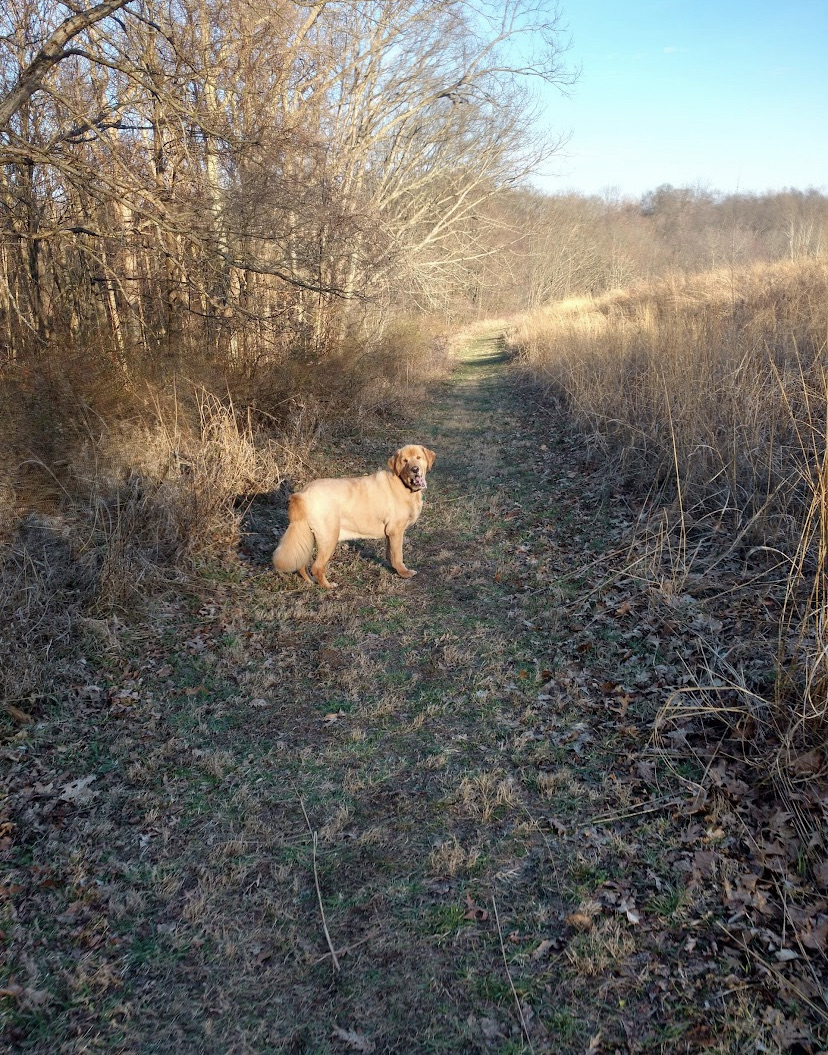 Wolf Run Regional Park