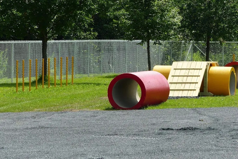 Parc canin Saint-Georges