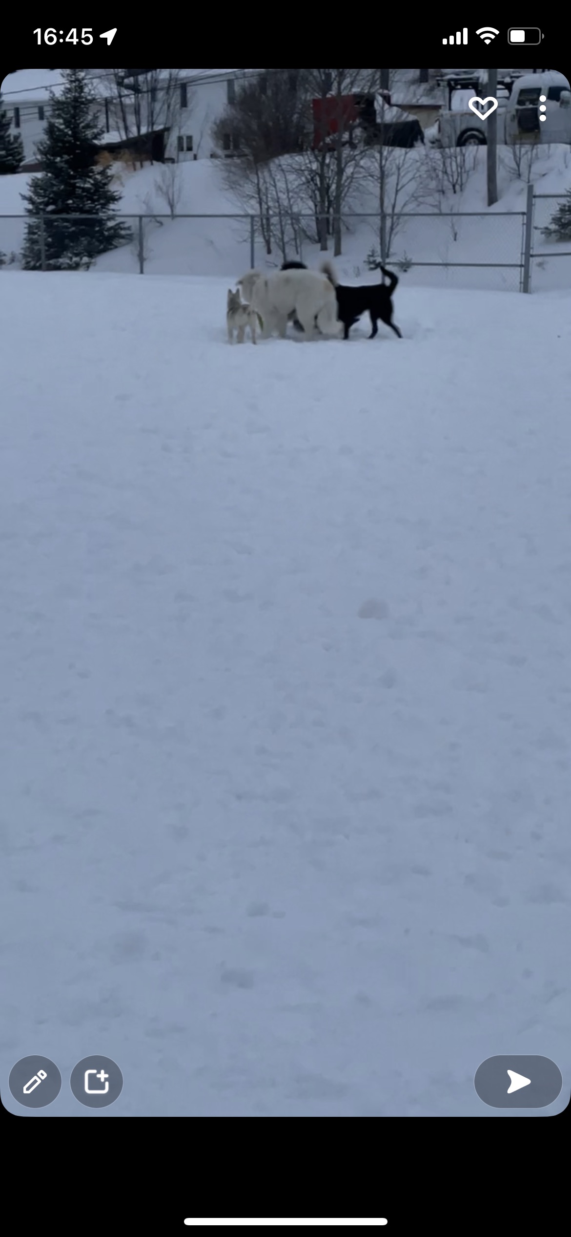 Terrain de Baseball, Amos