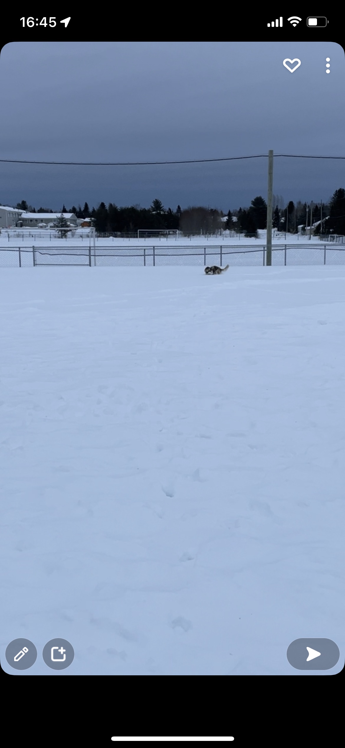 Terrain de Baseball, Amos