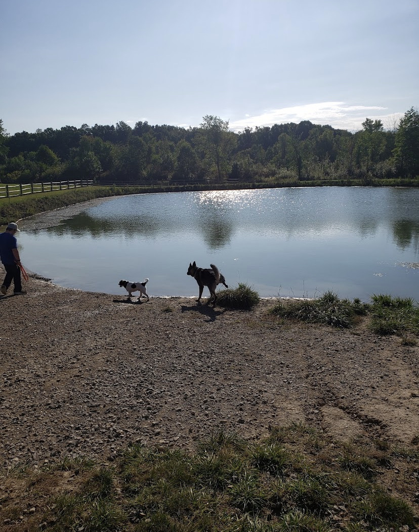 West Branch Dog Park