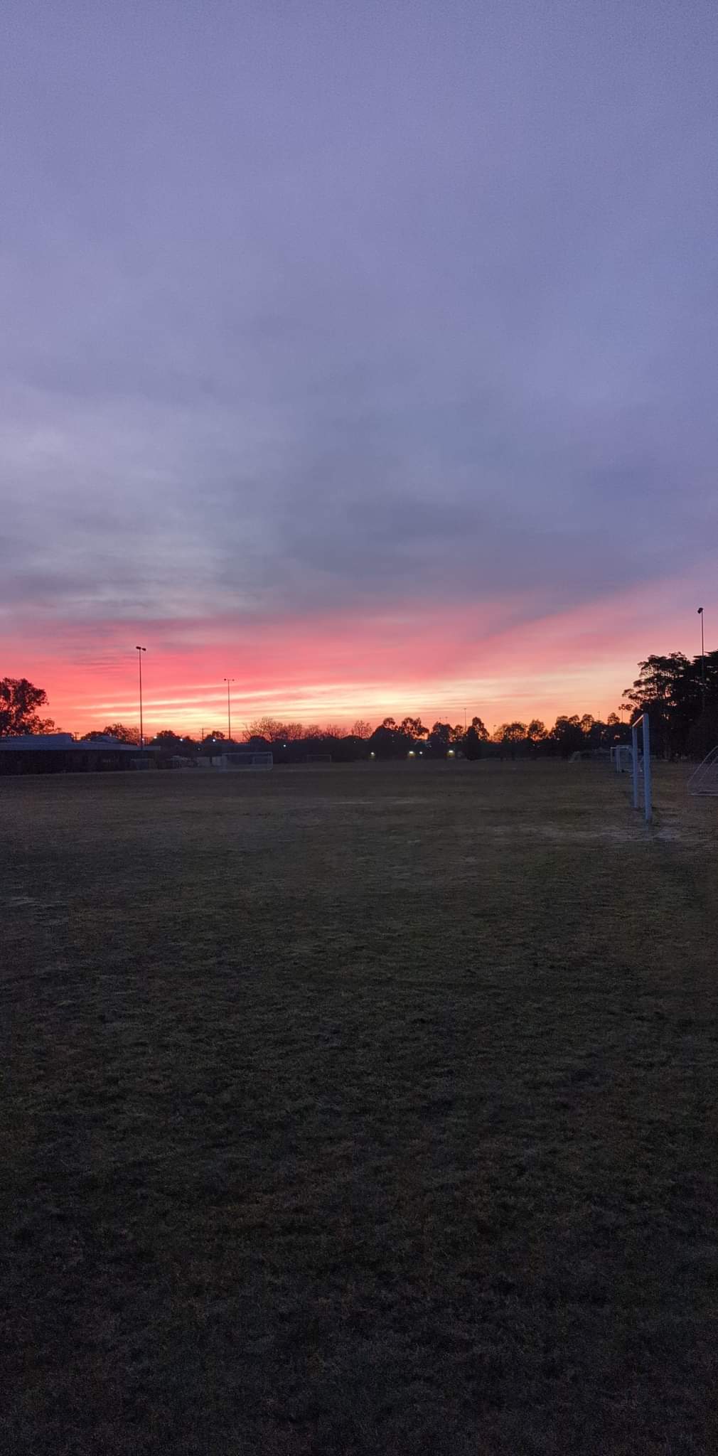 Lord Reserve Dog Off Leash Area