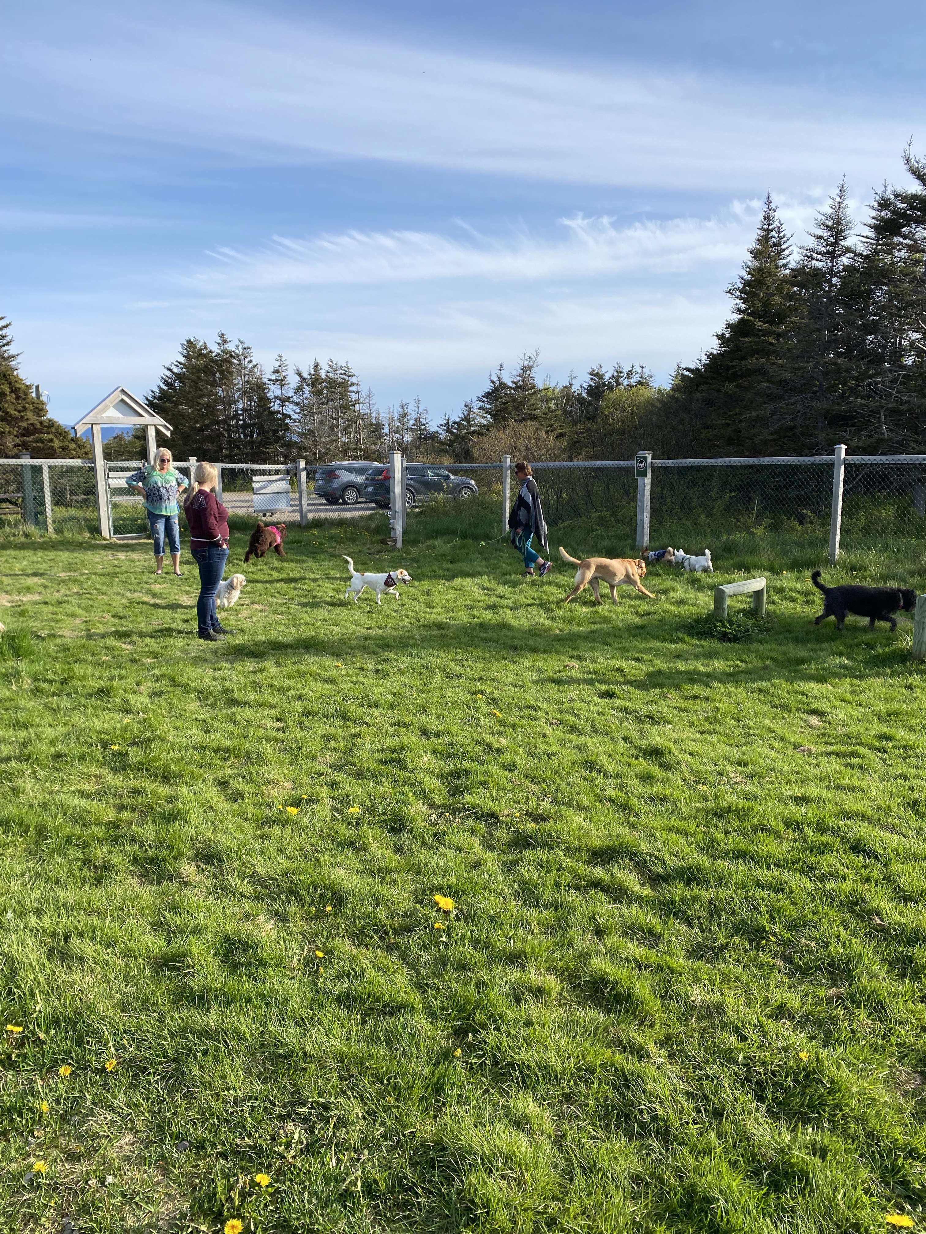 Green Point Dog Park