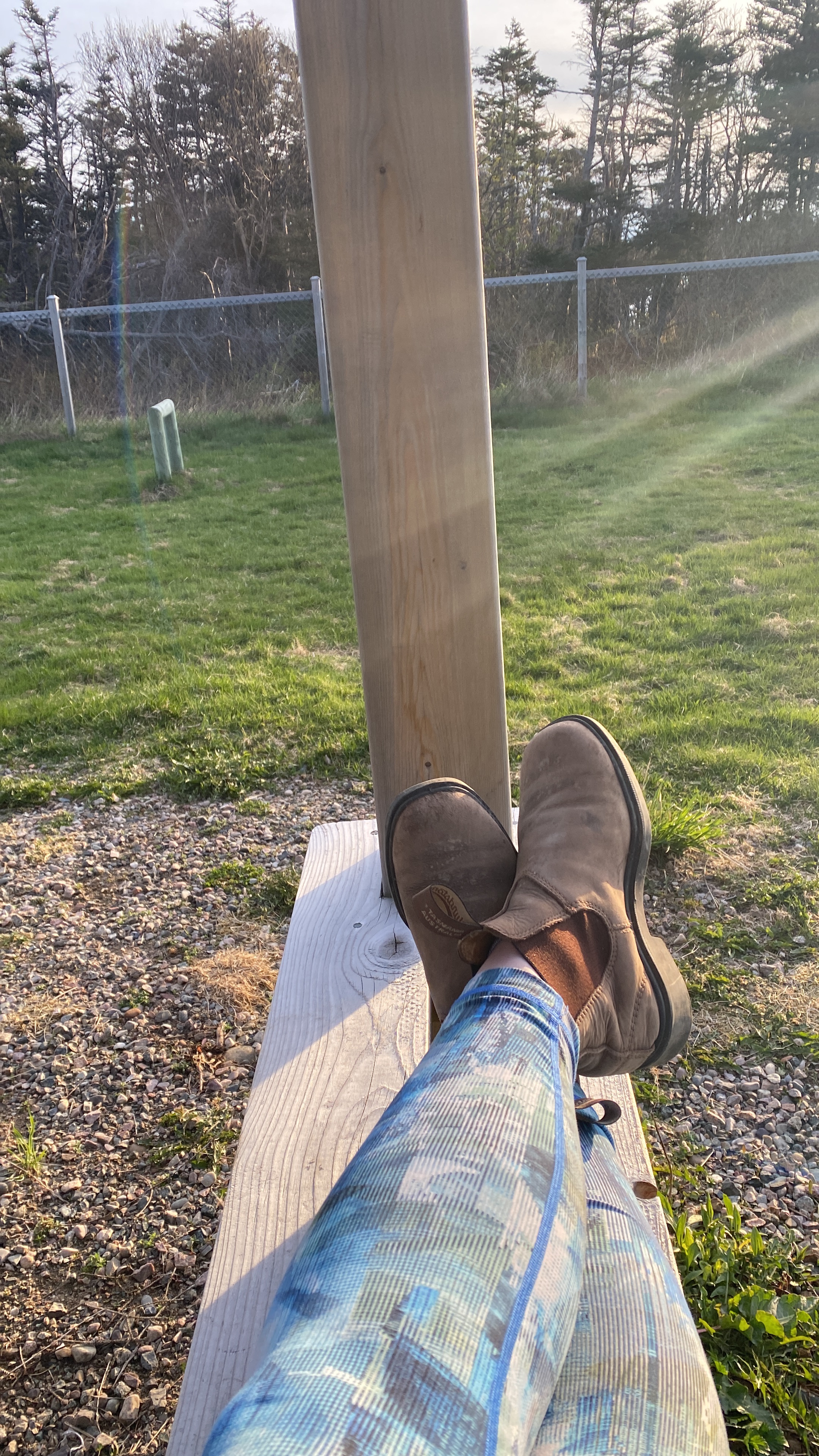 Green Point Dog Park