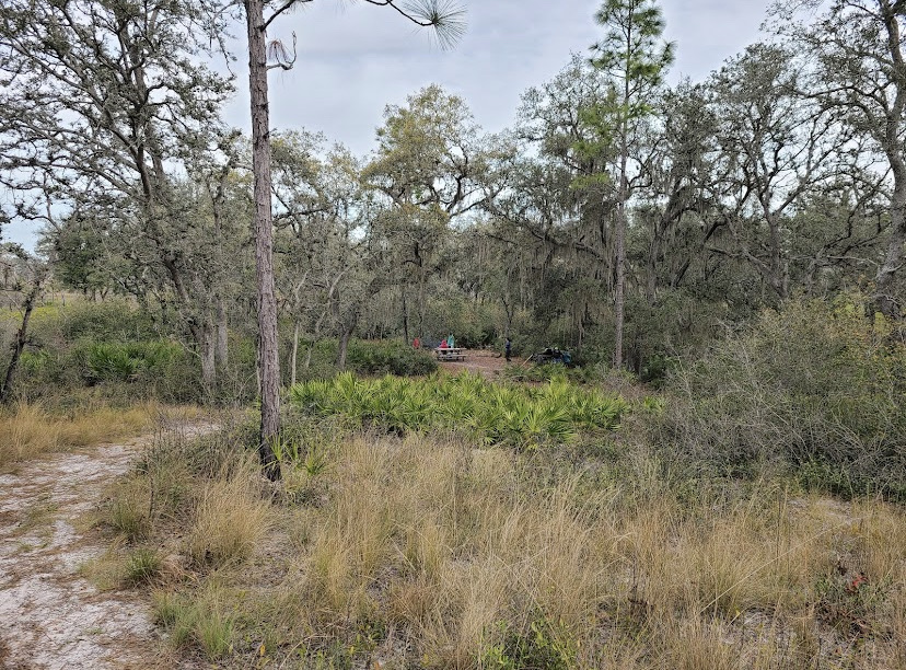 Green Swamp West Tract