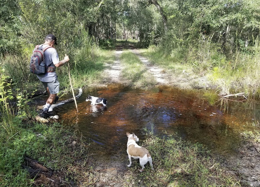 Green Swamp West Tract