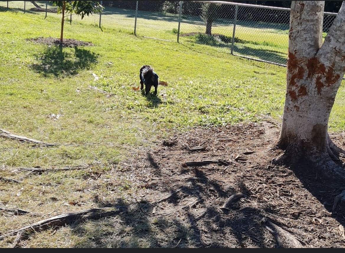 Binstead Way Fenced Dog Park