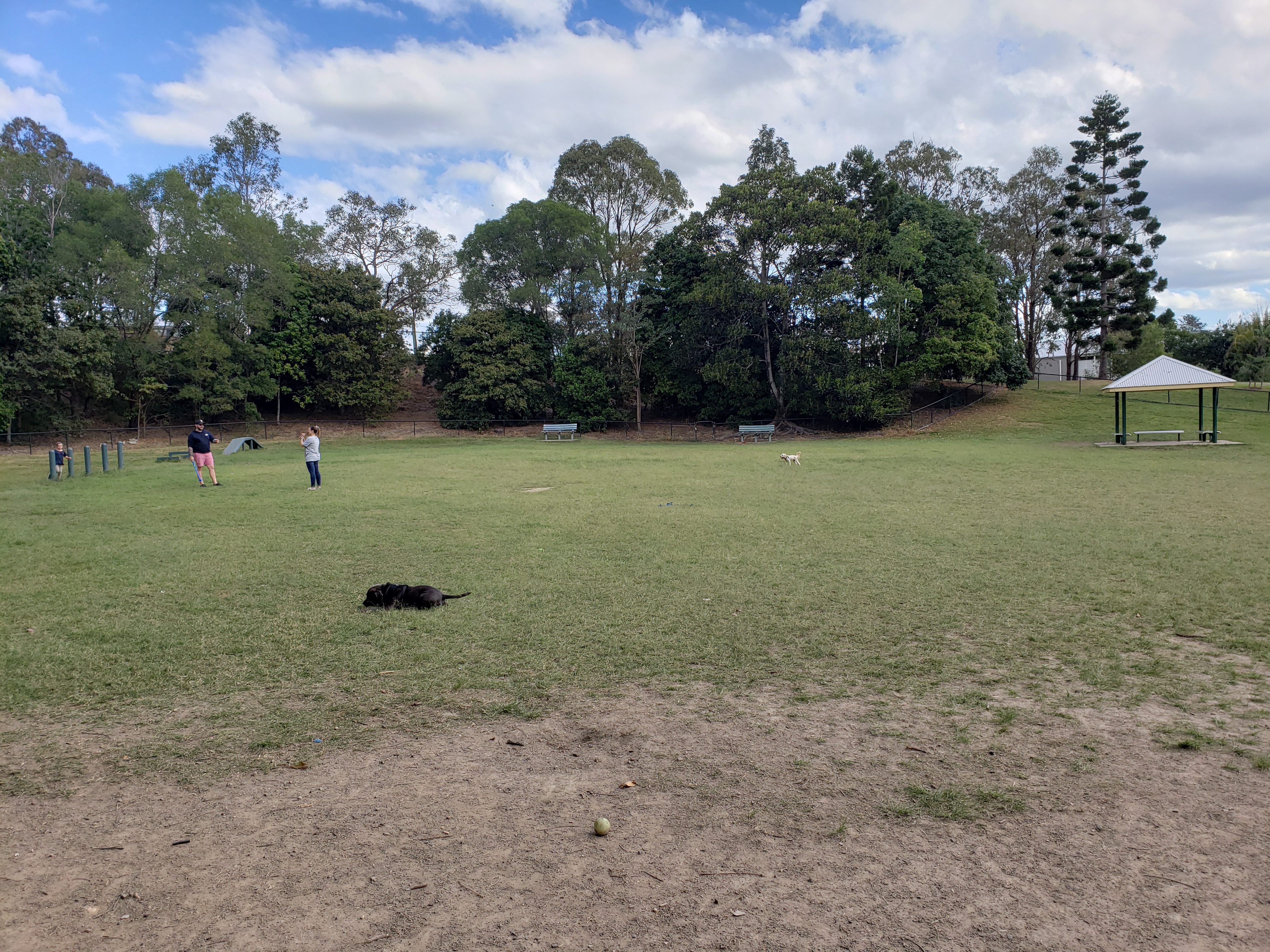 Camp Hill Dog Park