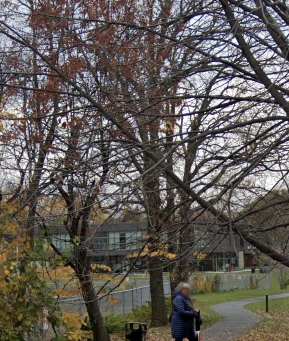 Parc canin Lespérance