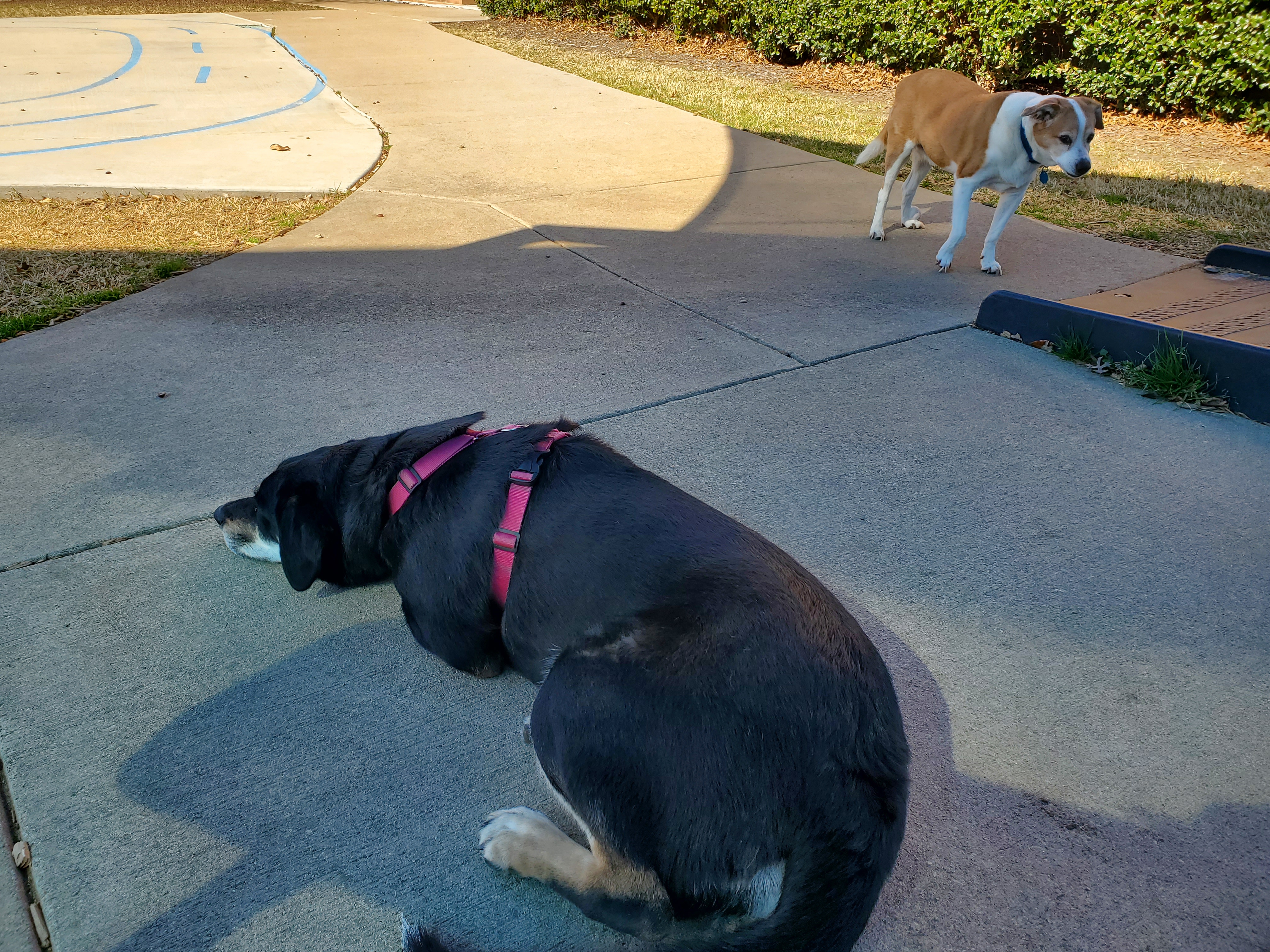 Garden Ridge Elementary School Field