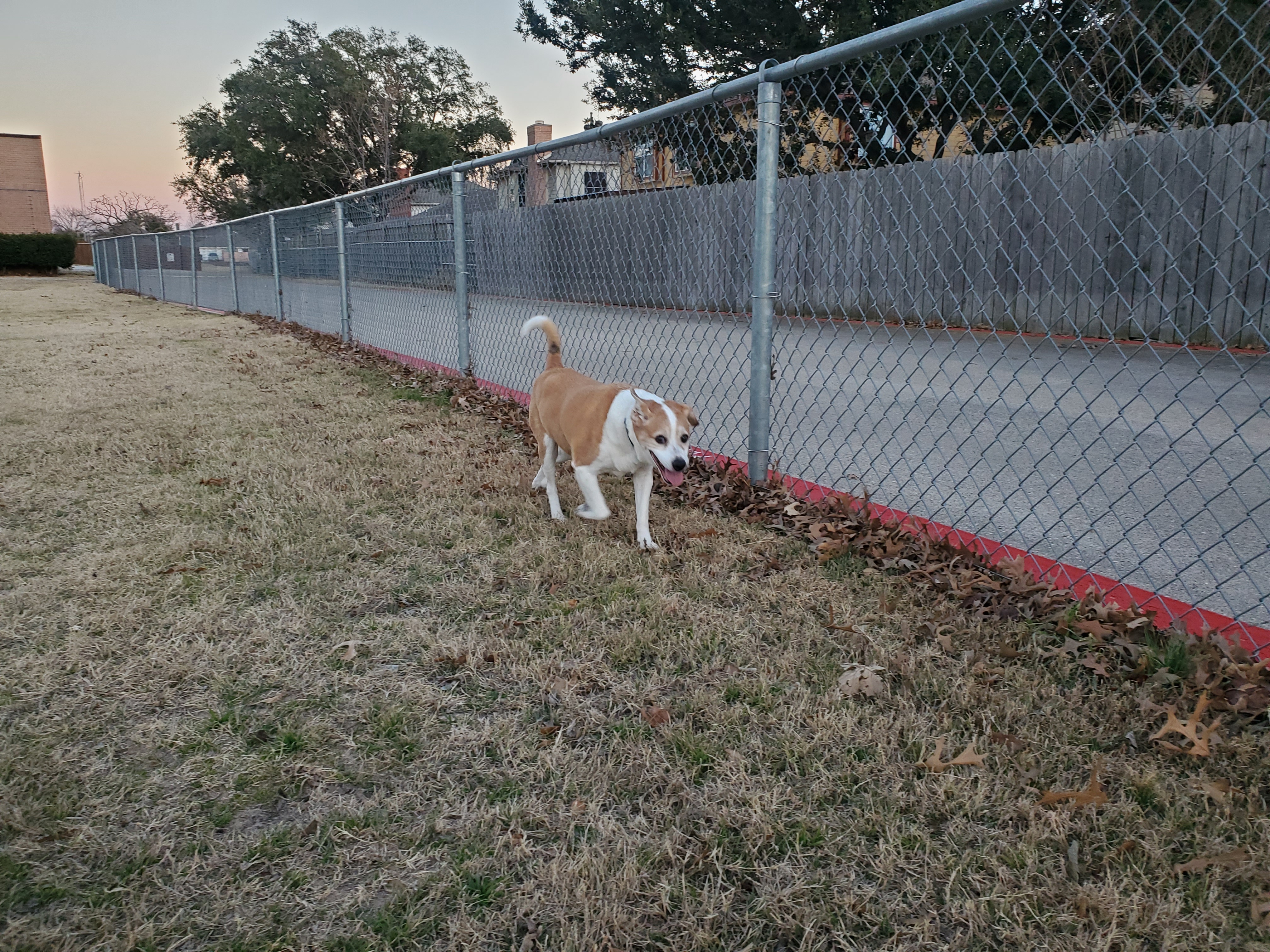 Garden Ridge Elementary School Field