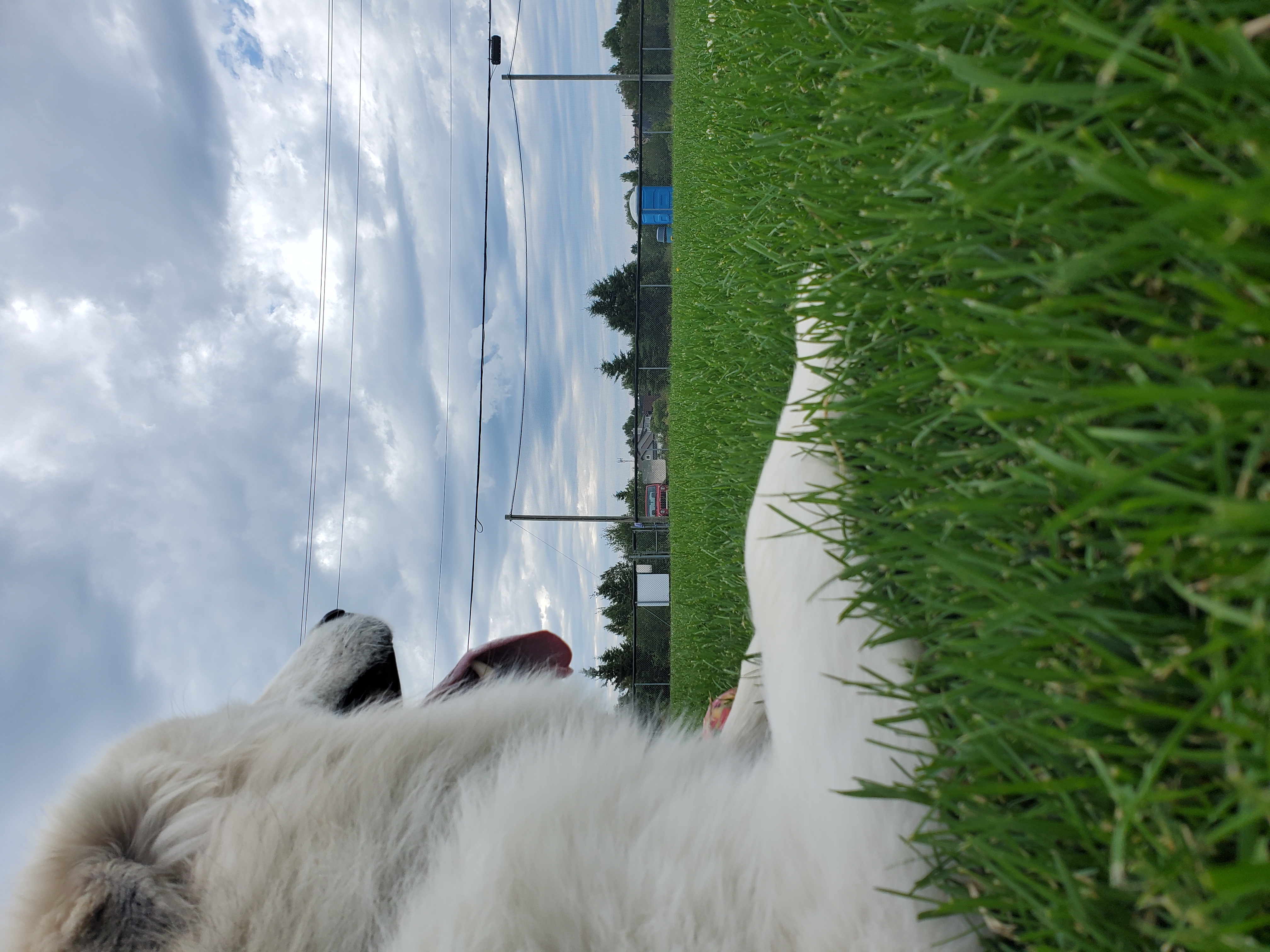 Terrain de Soccer Amos