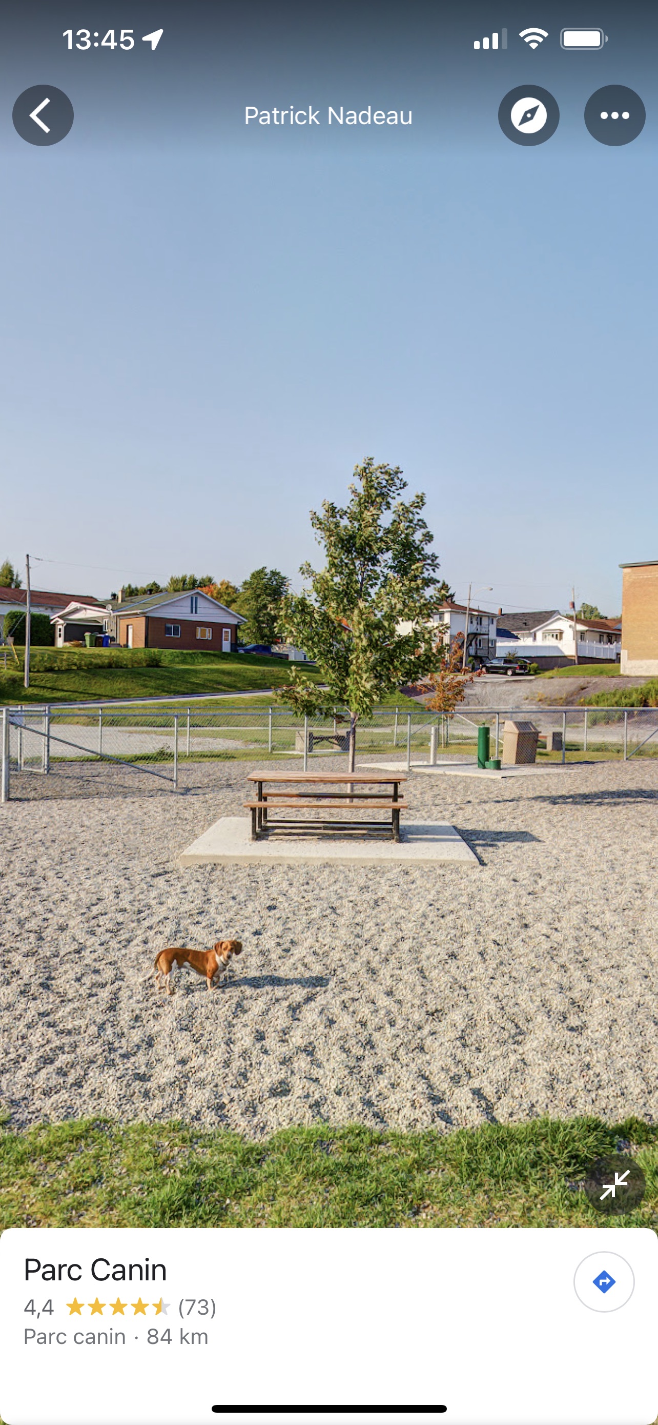 Parc canin Black Lake