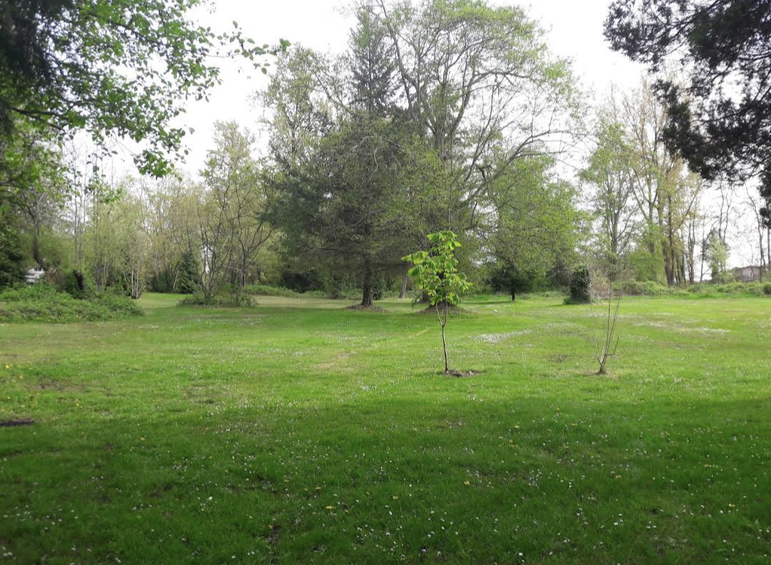 Brantford School Park