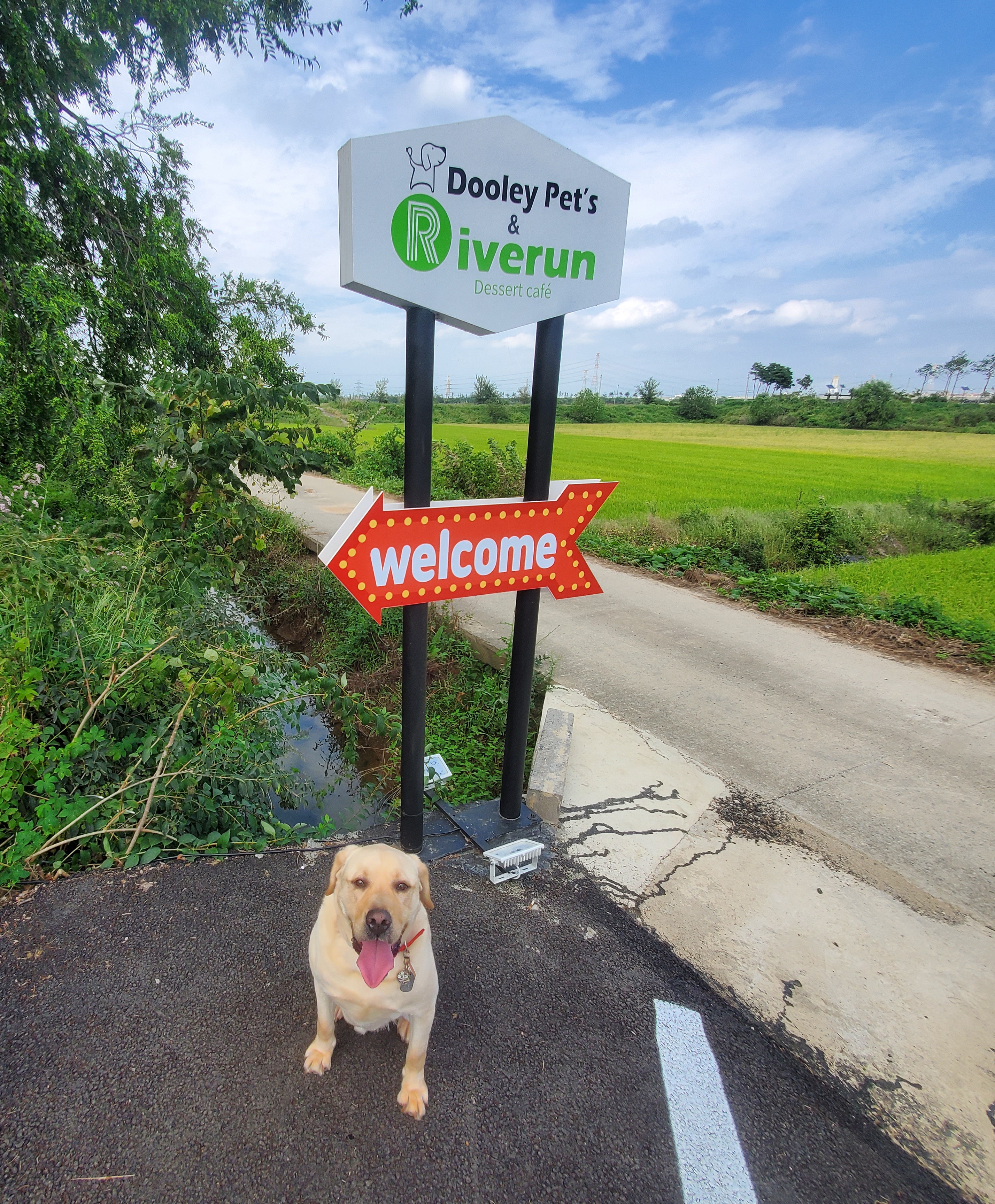 Dooley Pet's & Riverun Dessert Cafe