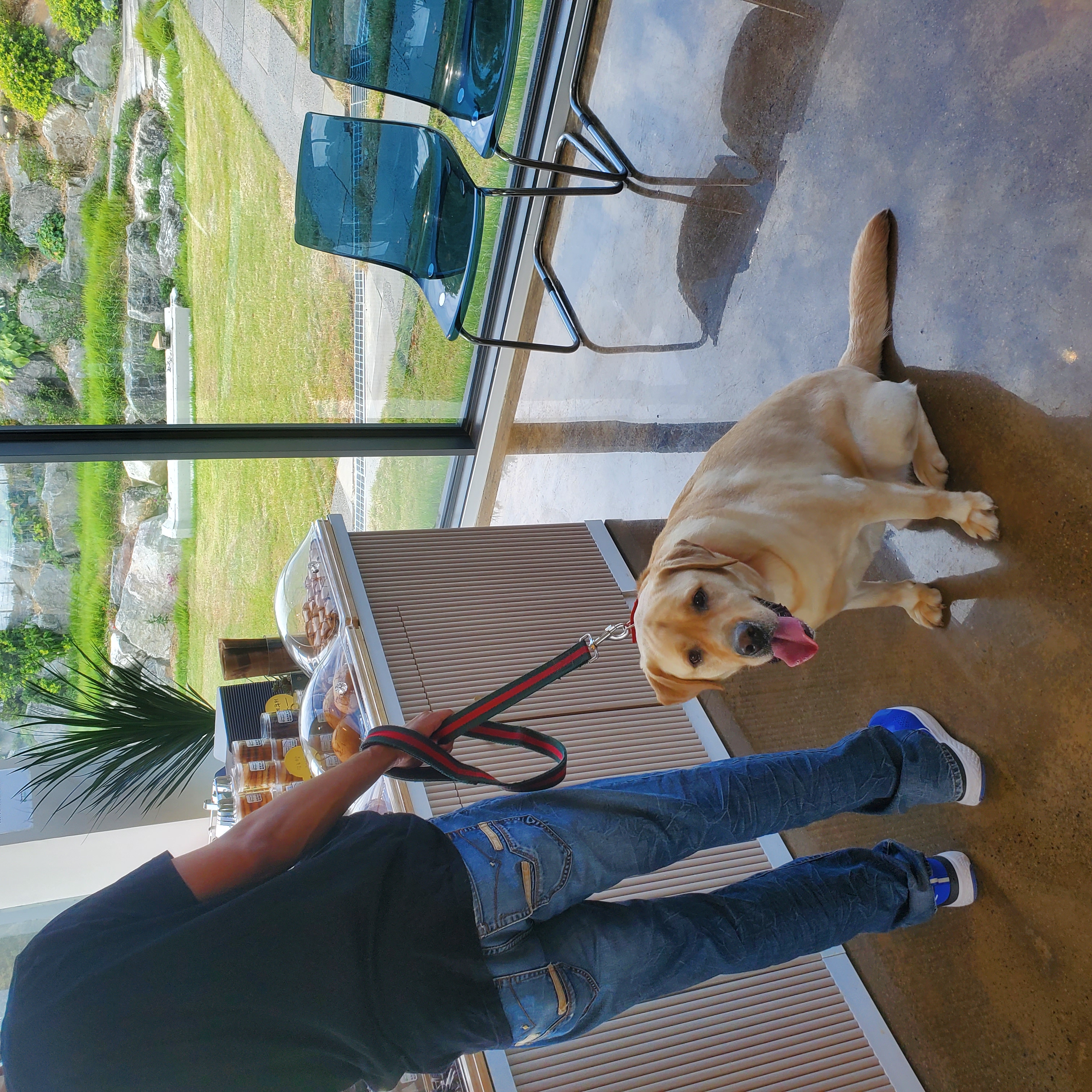 Dooley Pet's & Riverun Dessert Cafe