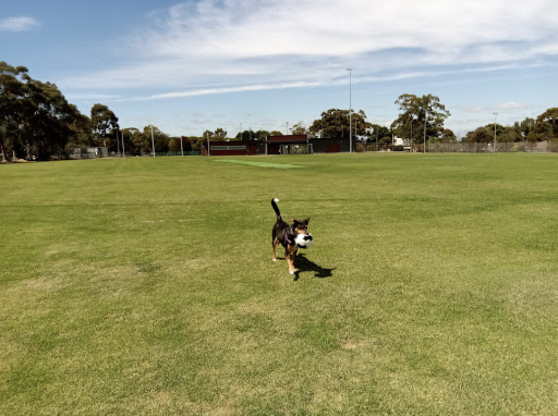 Hewett Sports Ground