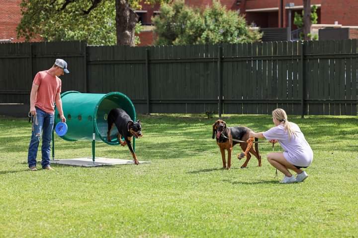 Tarleton Dog Park