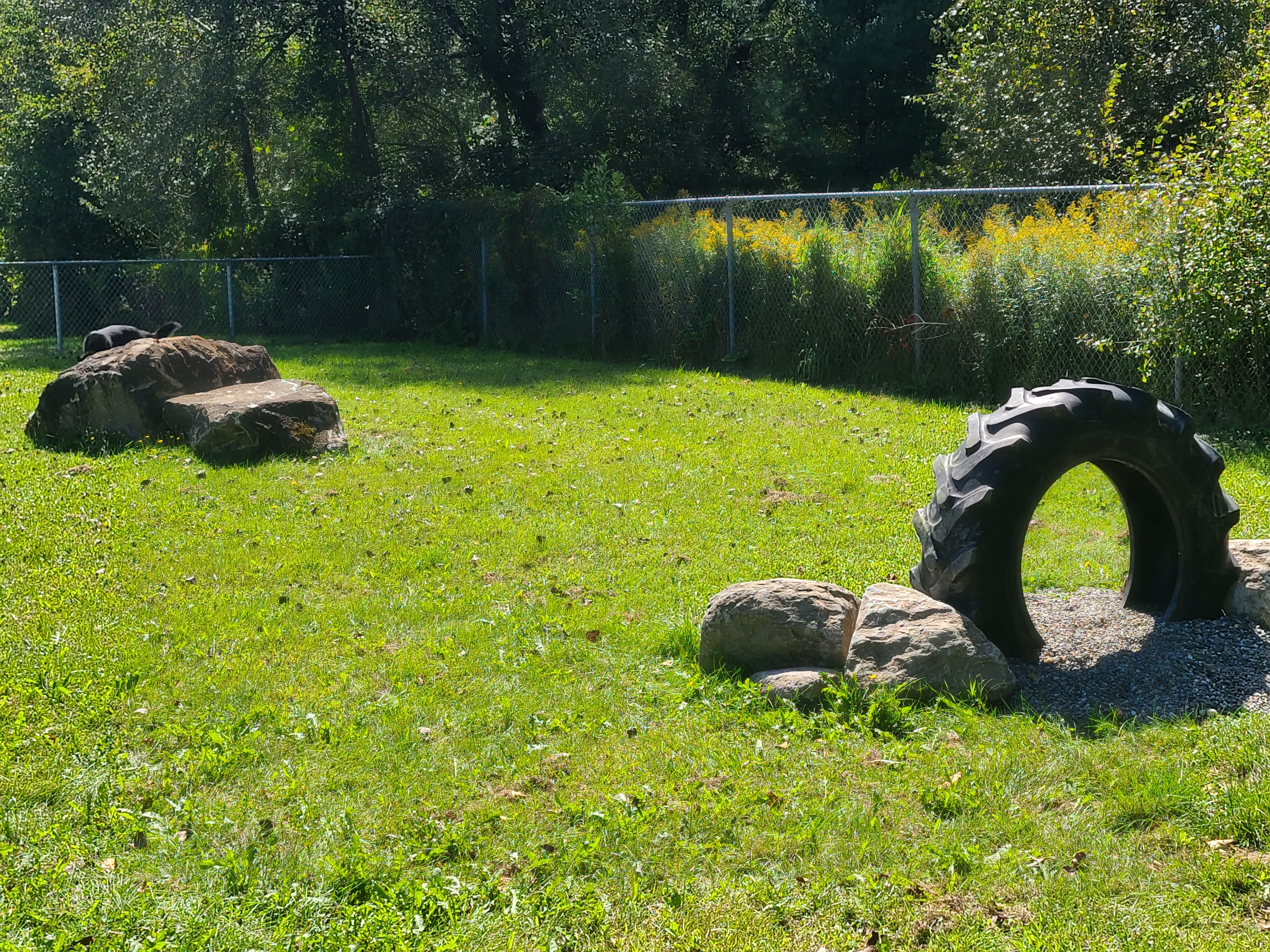 Parc à chien de la Kruger