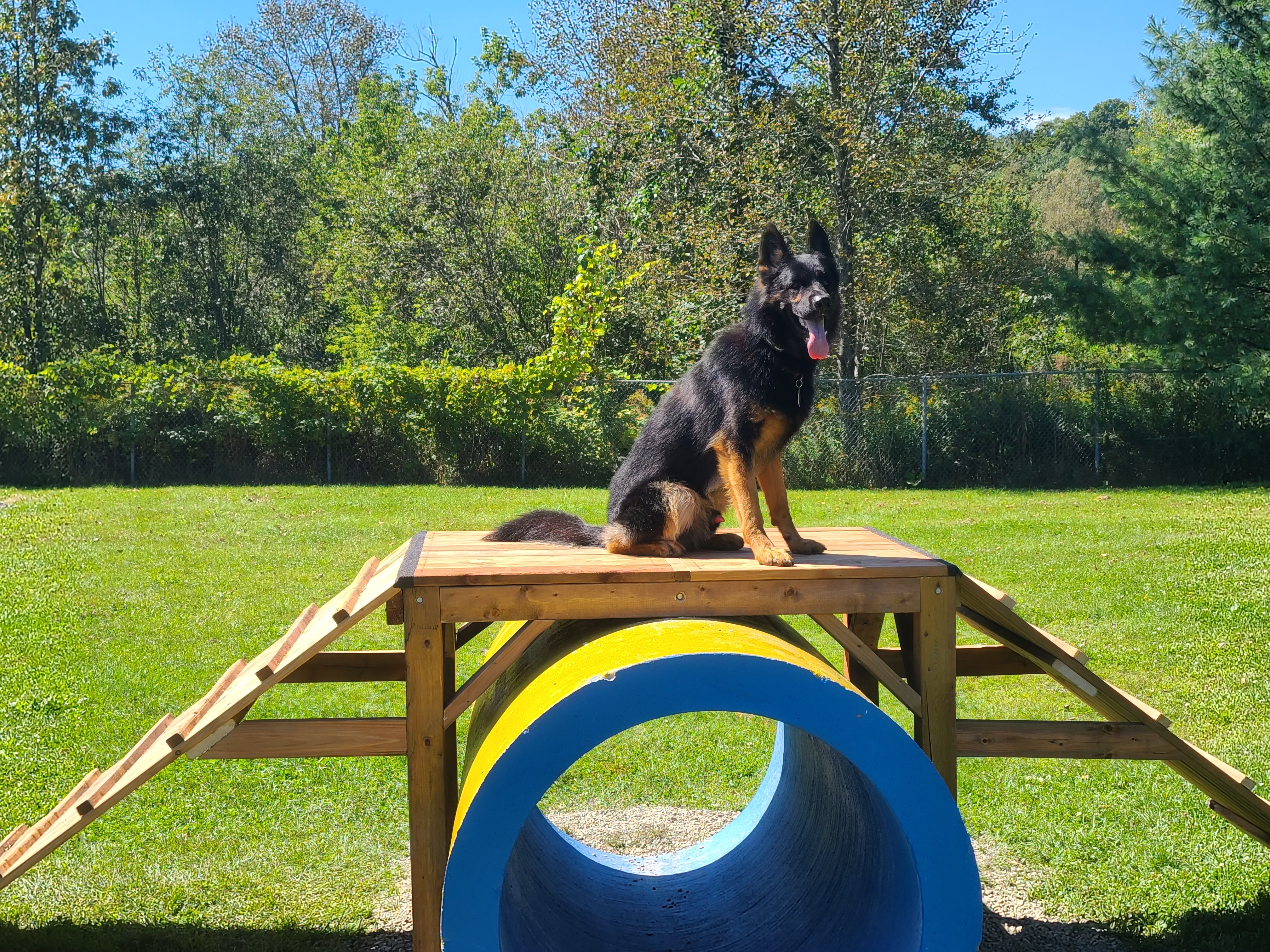 Parc à chien de la Kruger