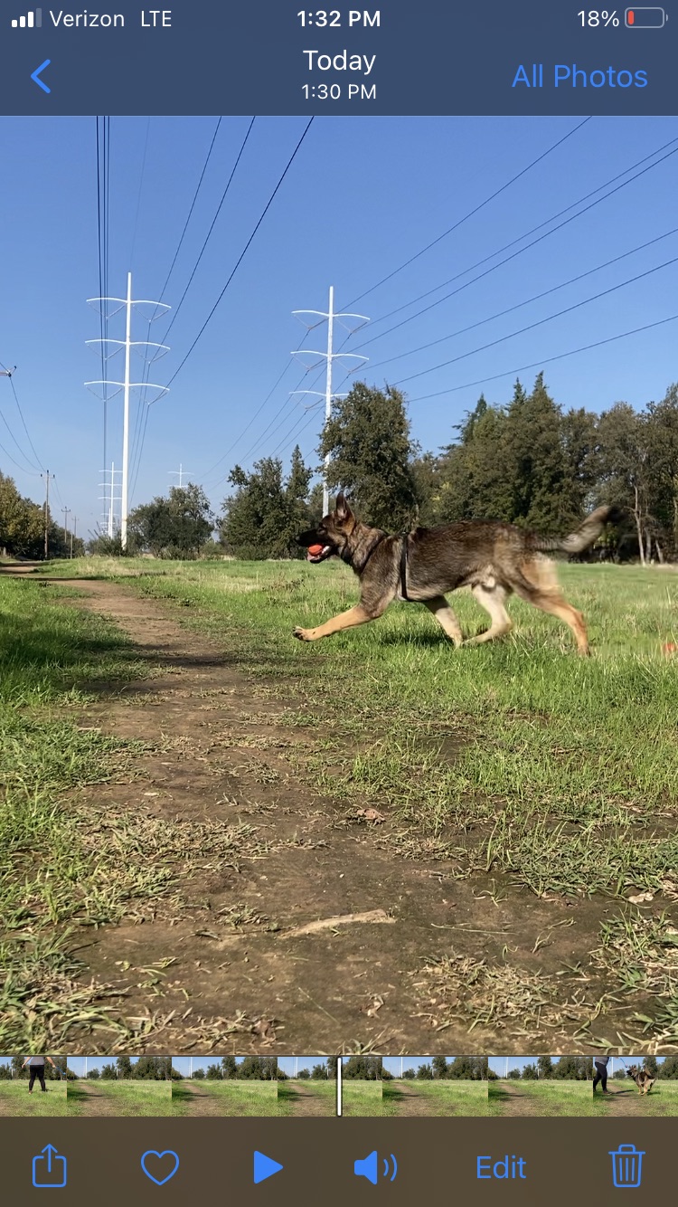 Streng Ave. Greenbelt