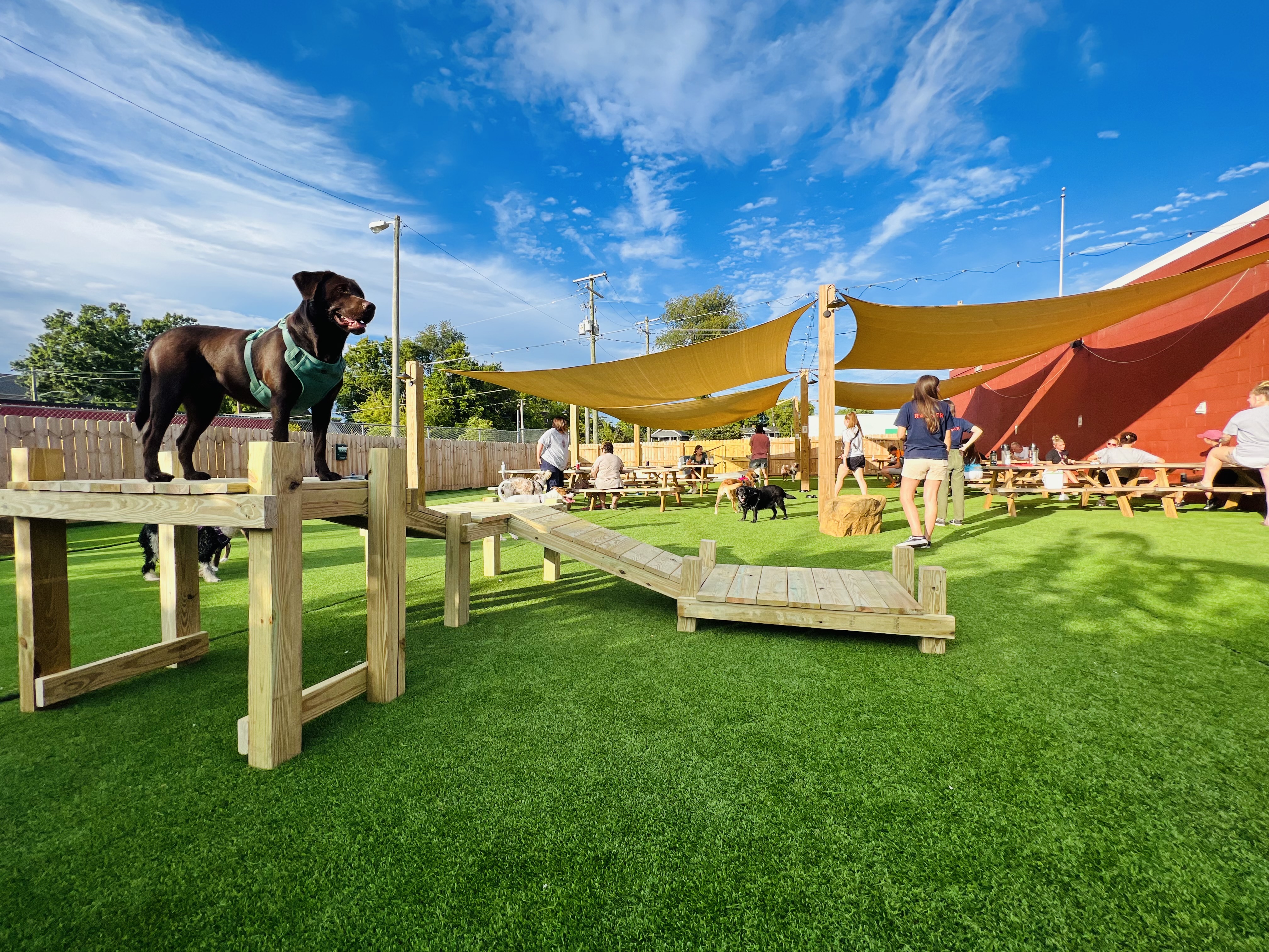 The Bark - Dog Park + Bar