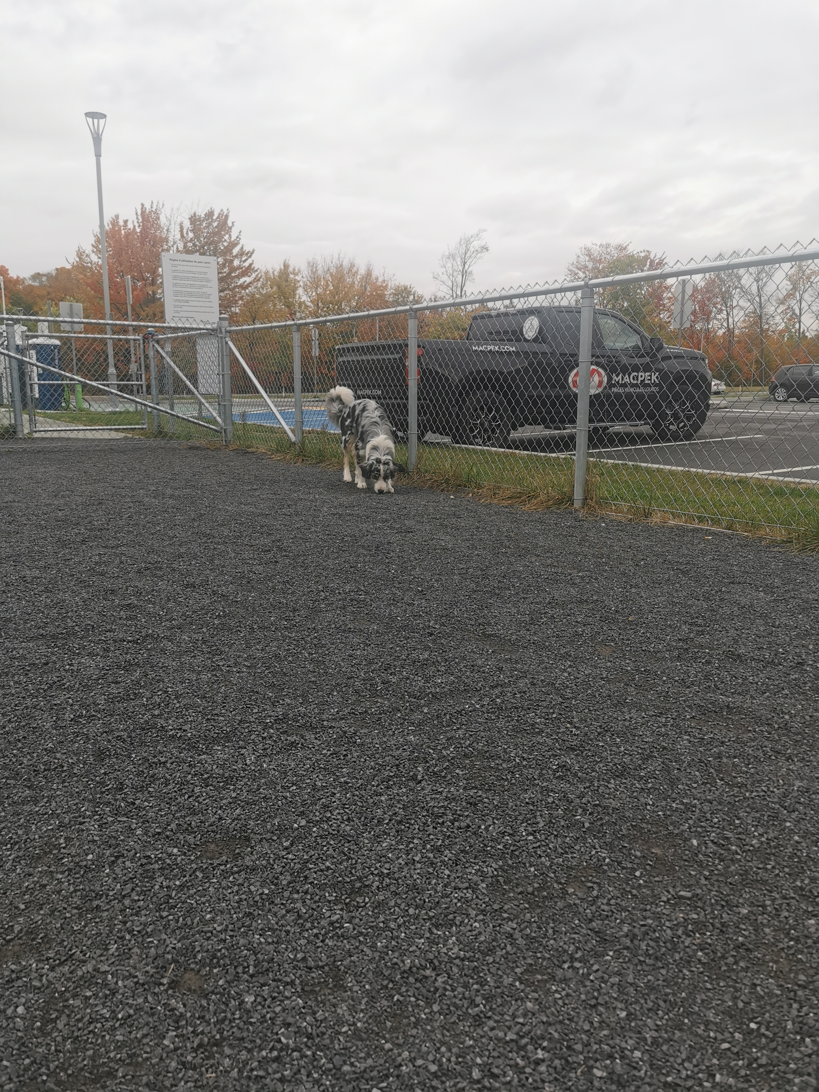 Aire de service du Point-du-Jour