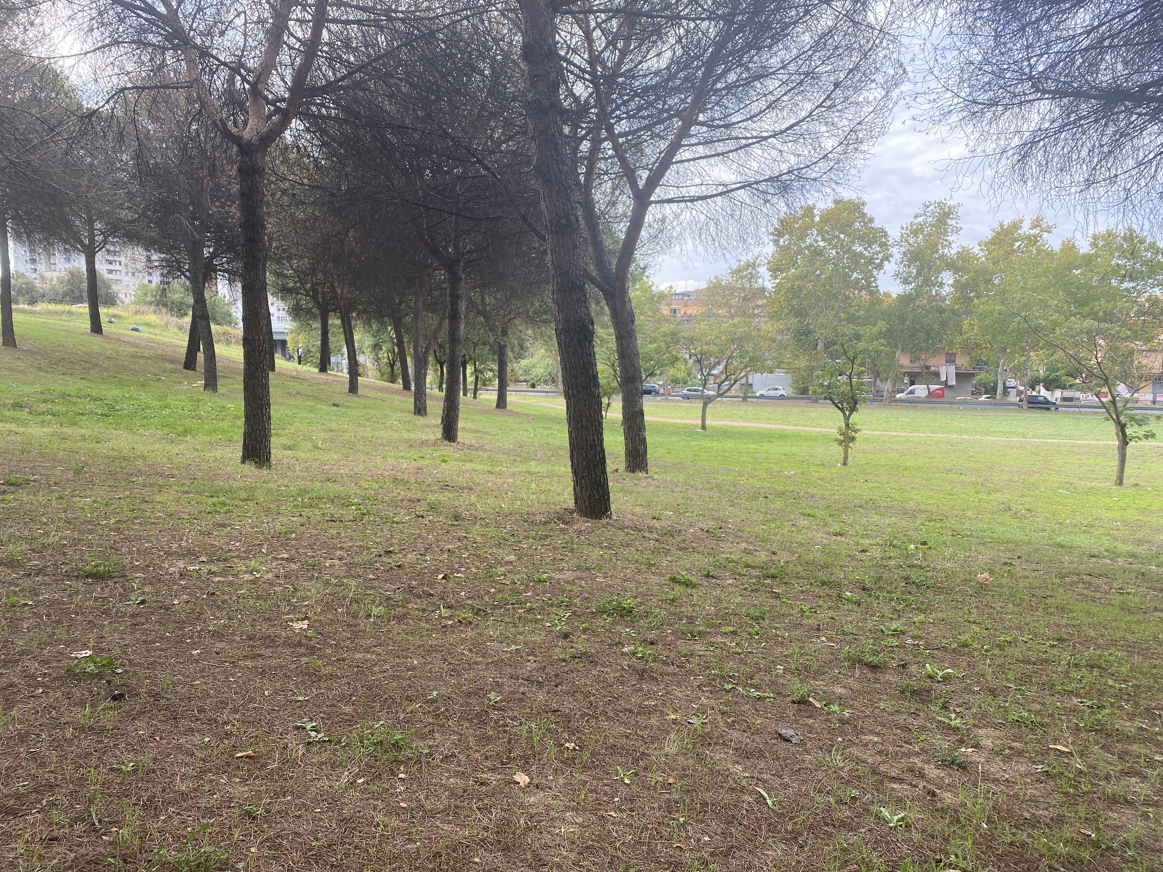 Aspertini/oratorio Viale Duilio Cambellotti