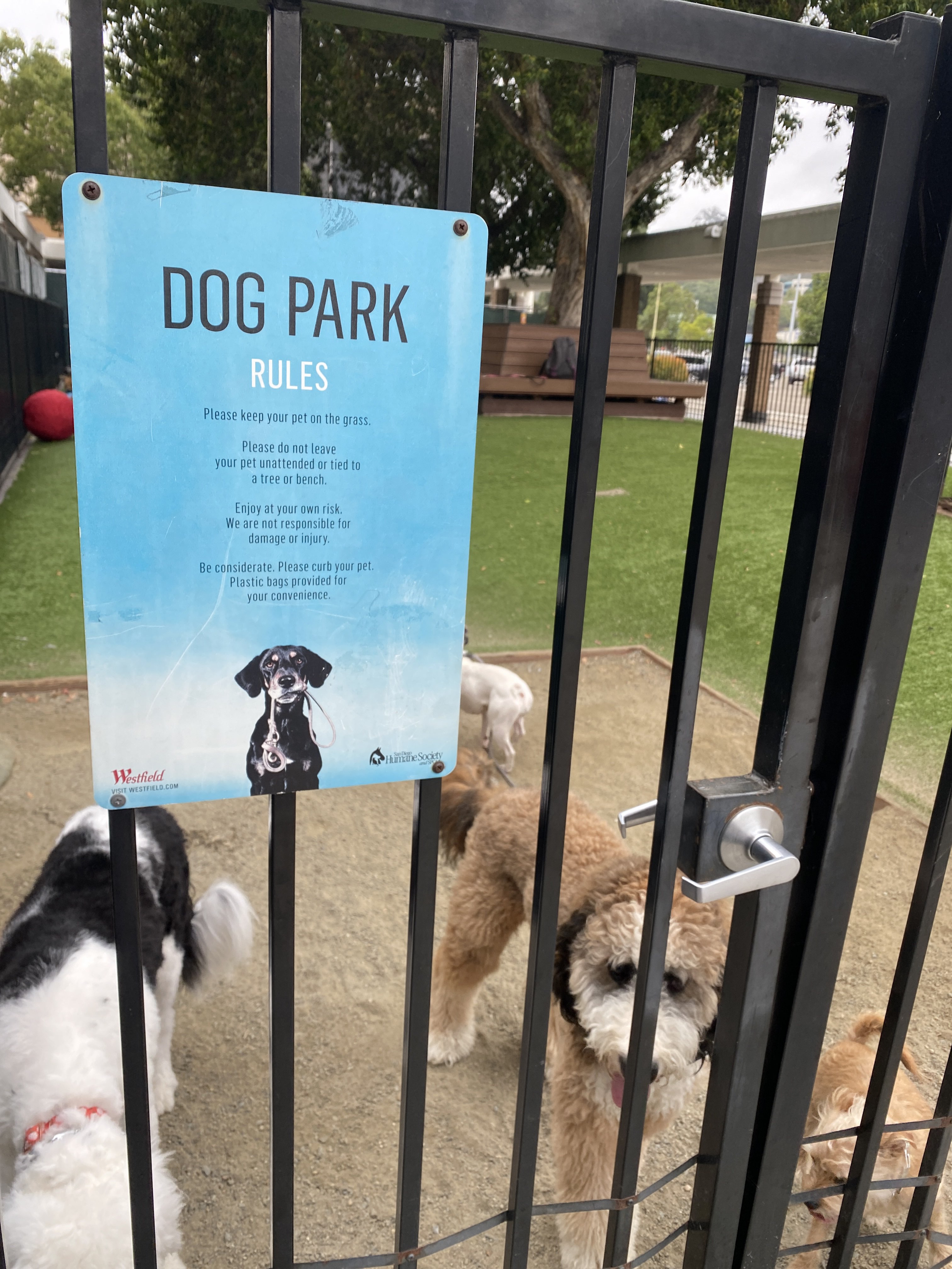 The Mission Valley Mall Dog Park