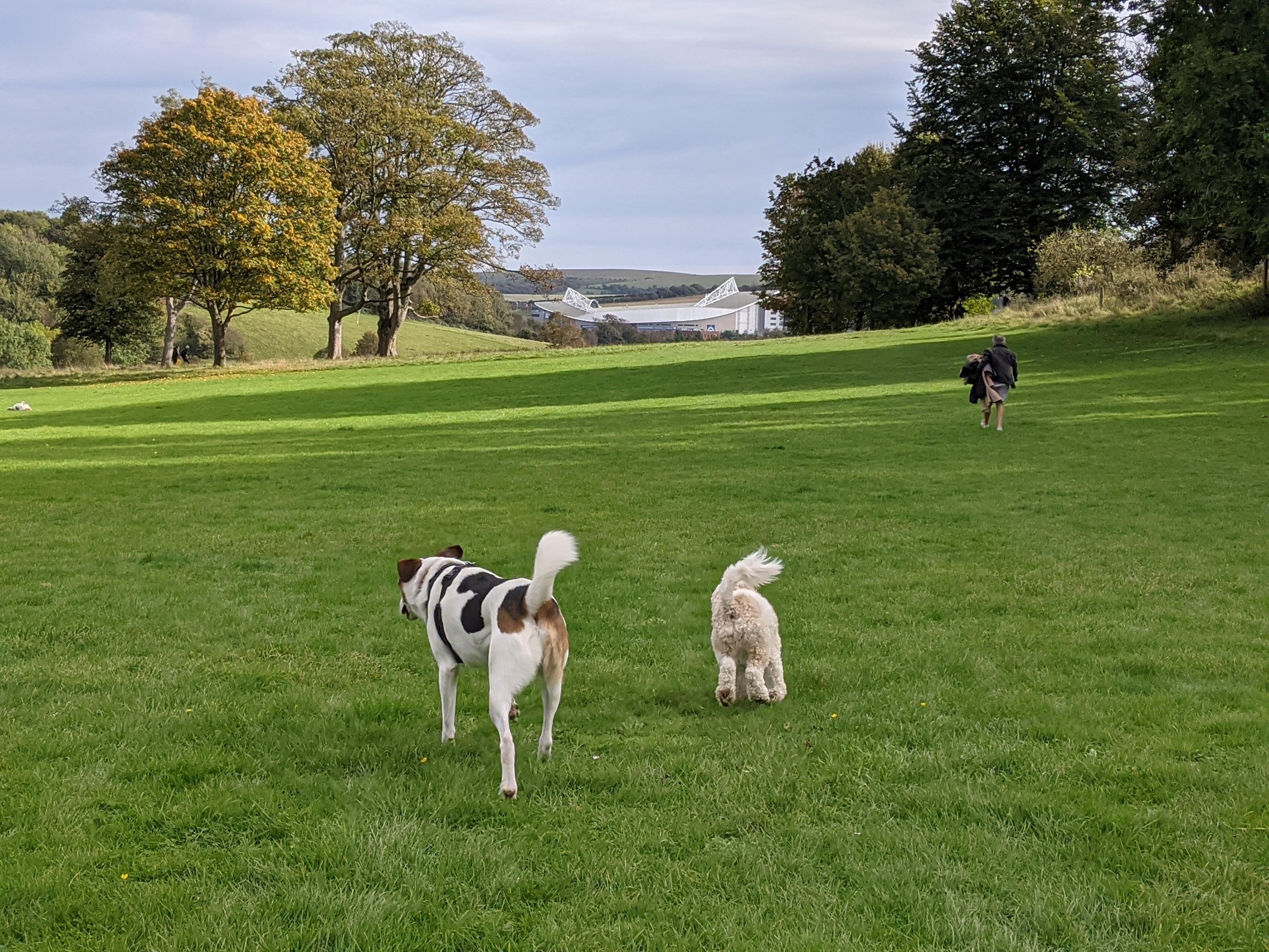 Stanmer Park Nature Reserve
