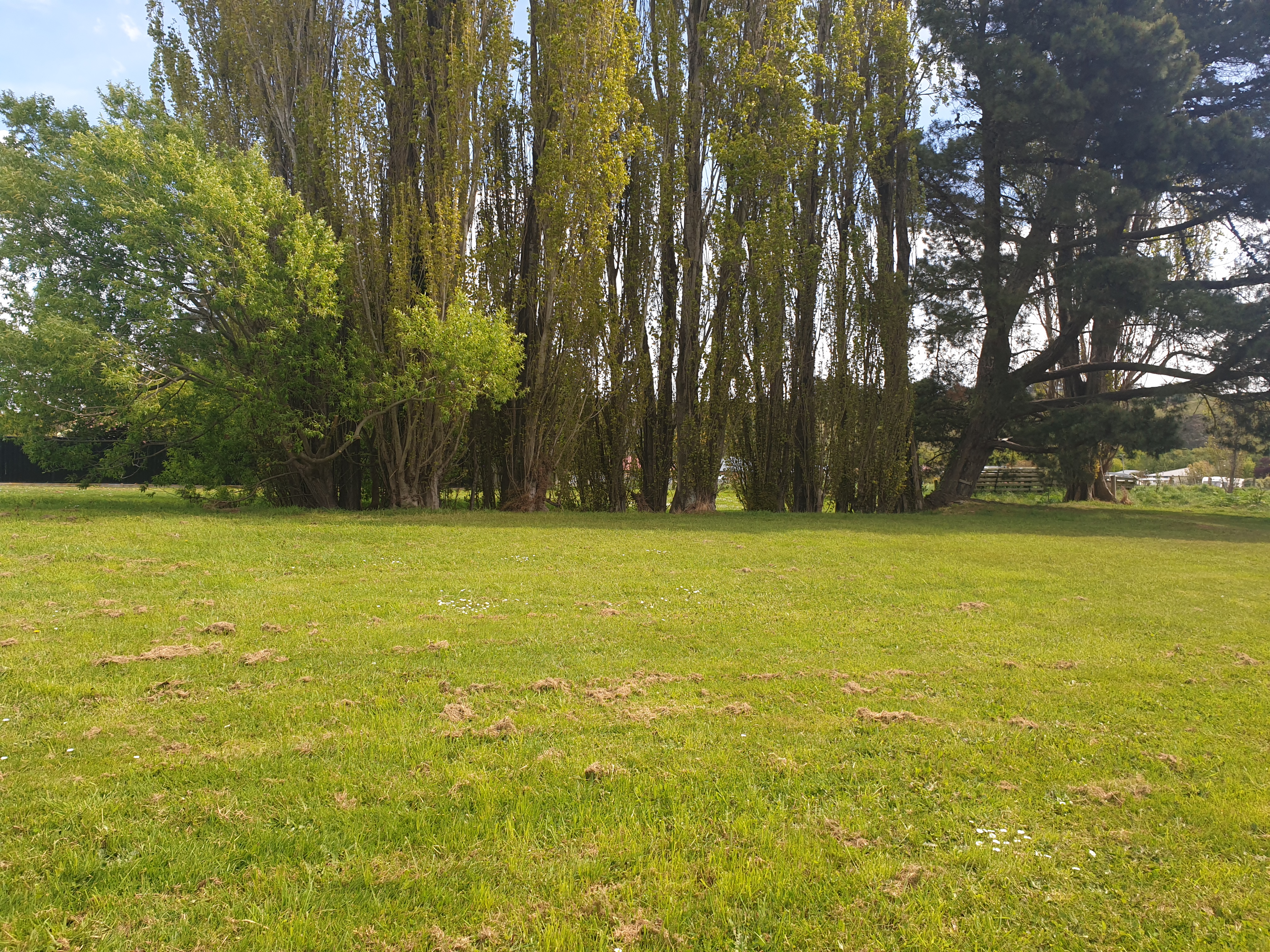 Berkley Place Dog Park