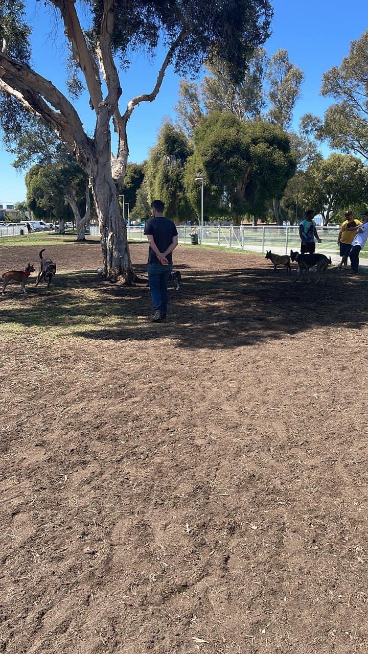 North Park Community Dog Park