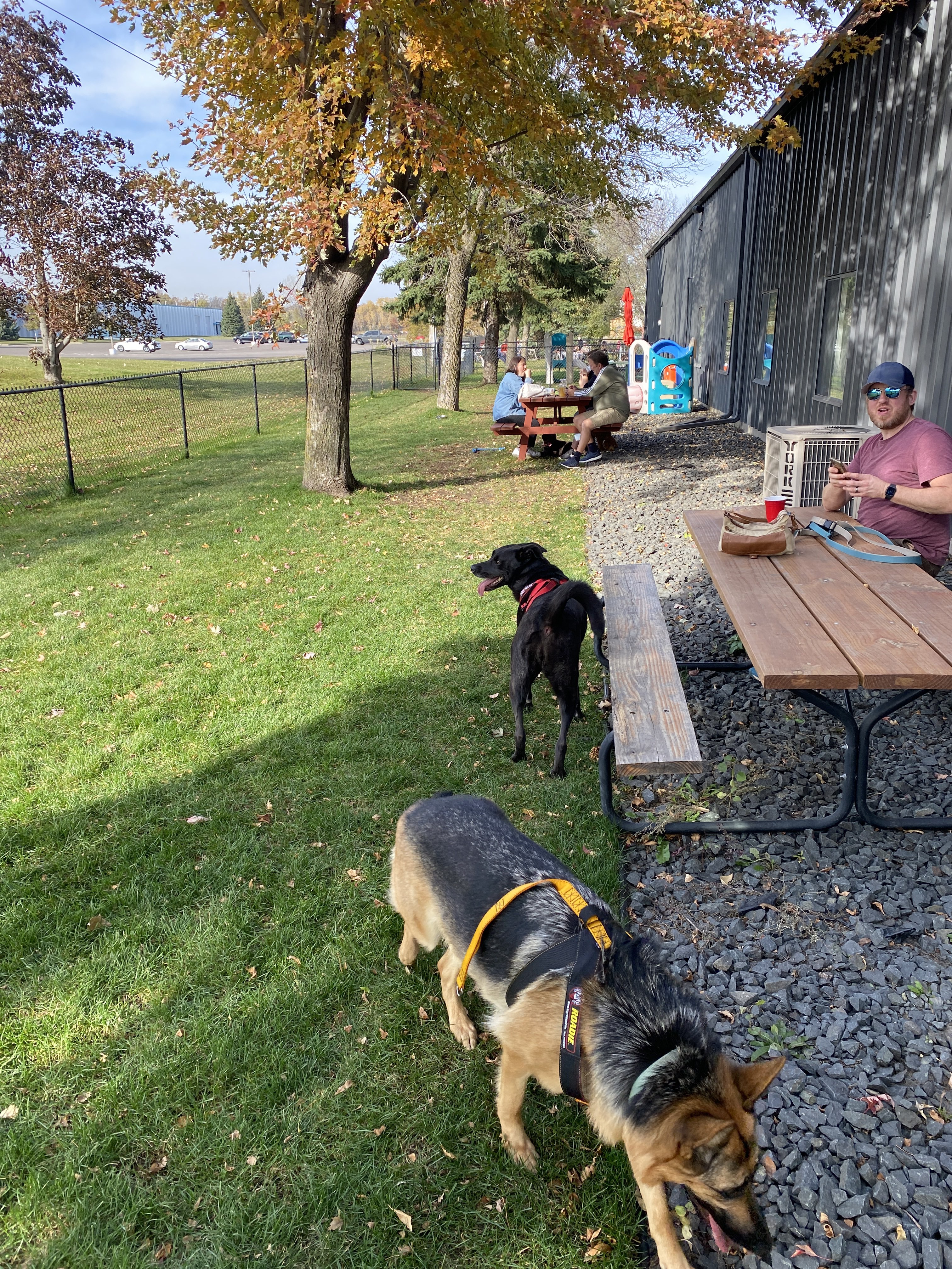 AEGIR Brewing Company