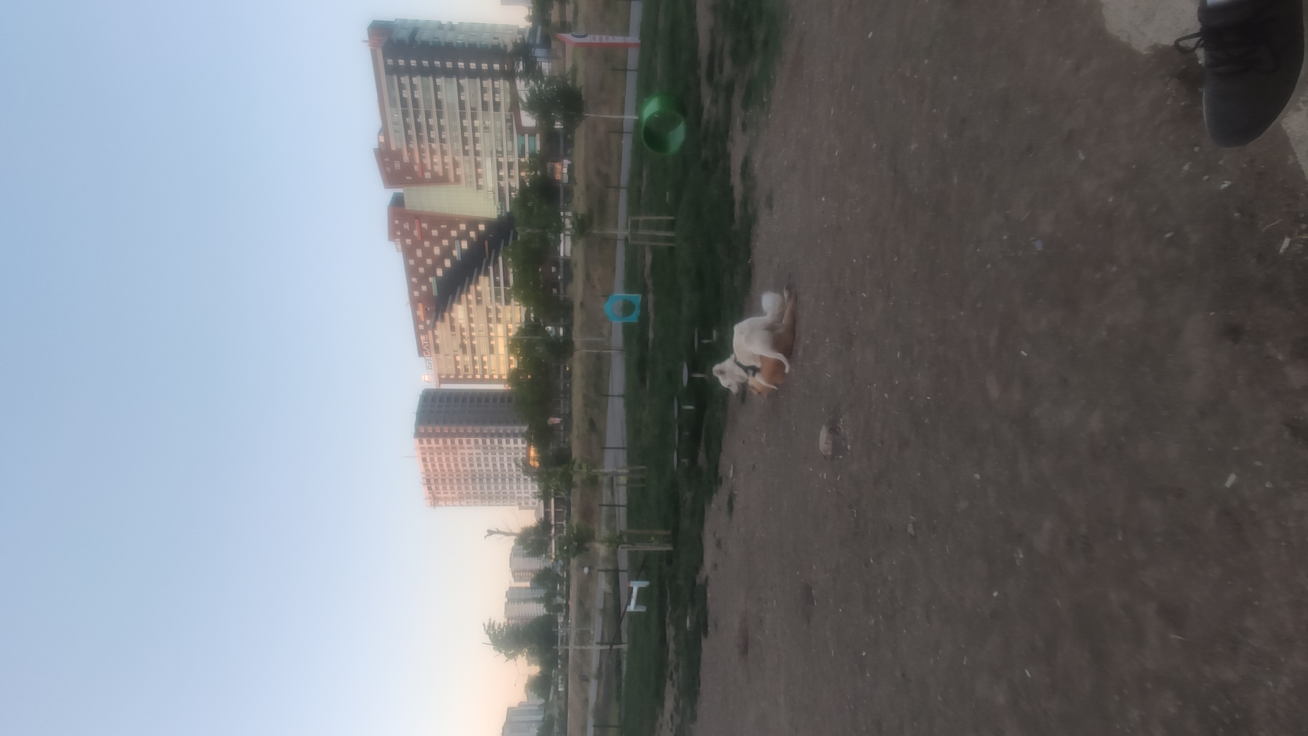 Etimesgut Dog Park