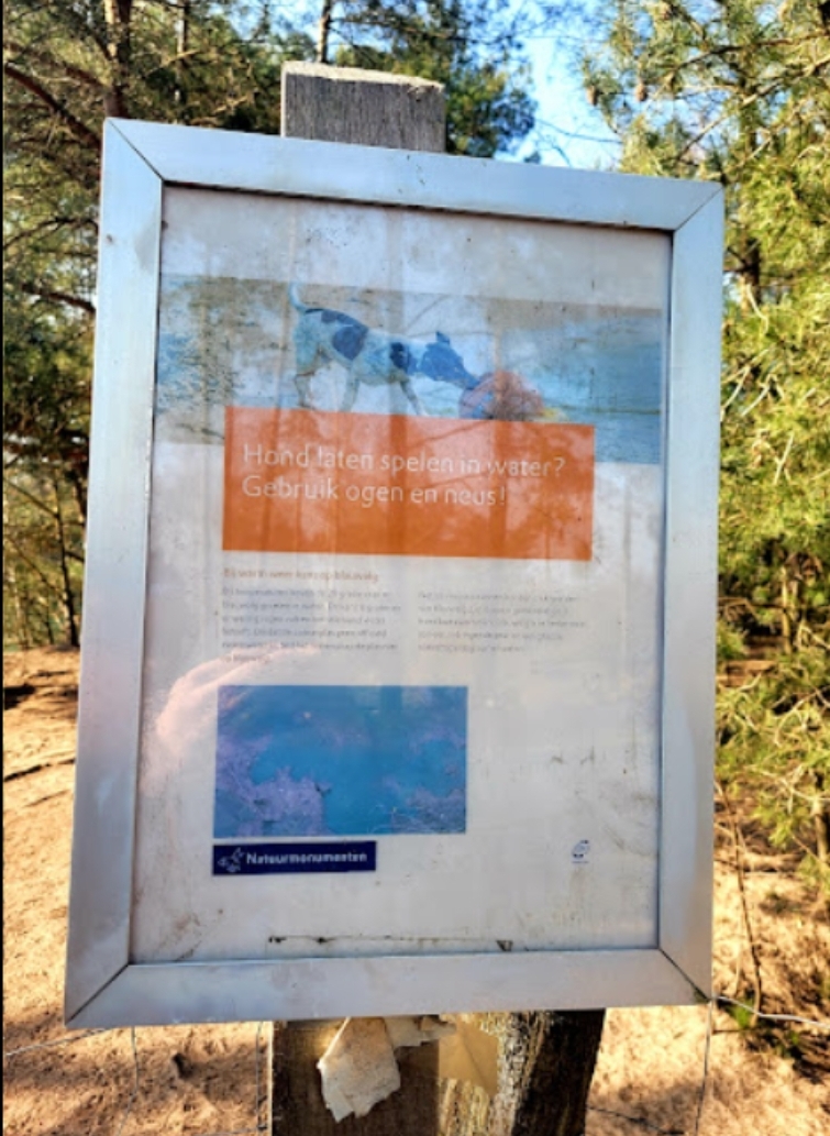 Hondenlosloopzone Budel